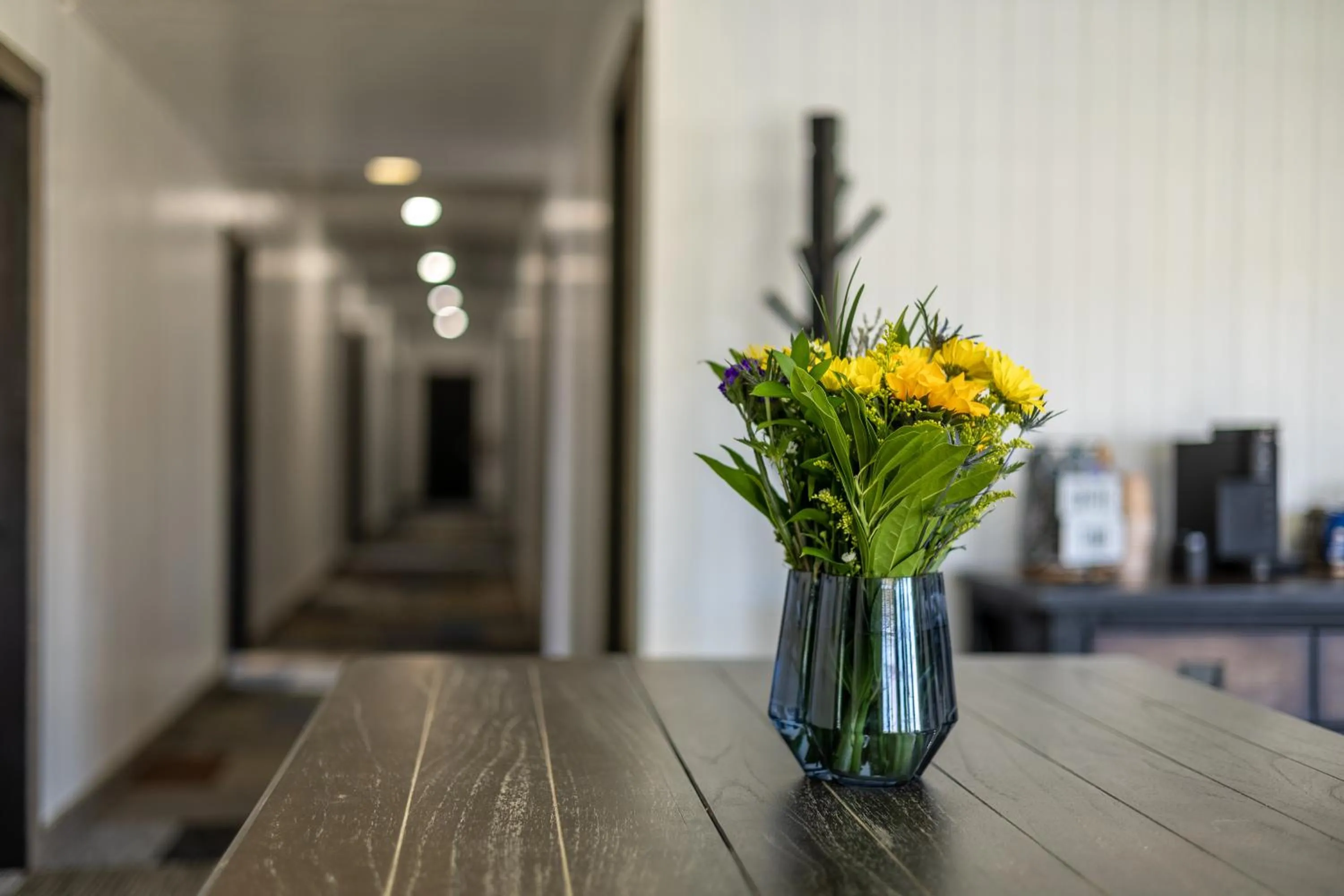 Lobby or reception in Copperhead Lodge