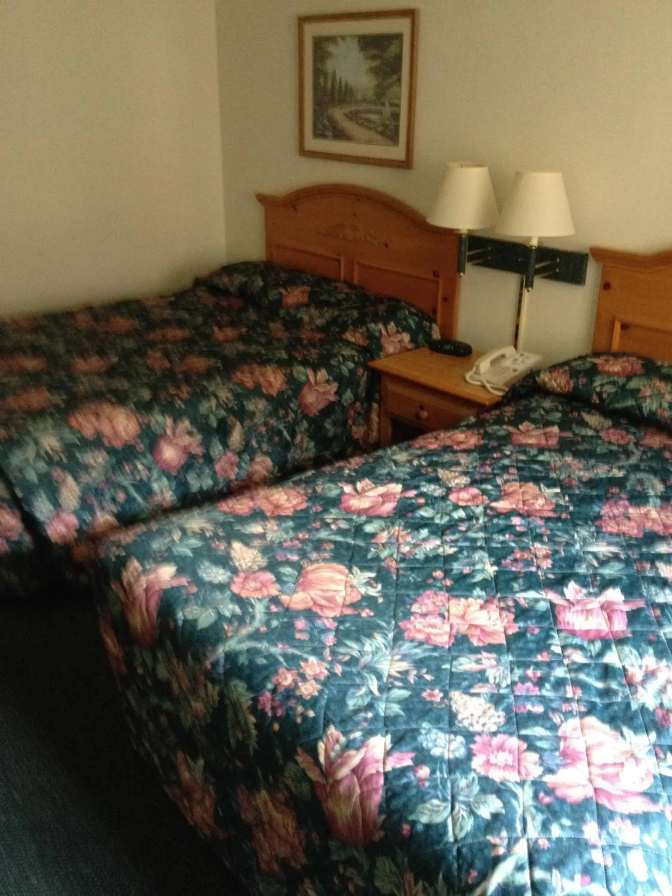 Double Room with Two Double Beds - Smoking in Hunter Lodge Double Room with Two Double Beds - Smoking in Hunter Lodge