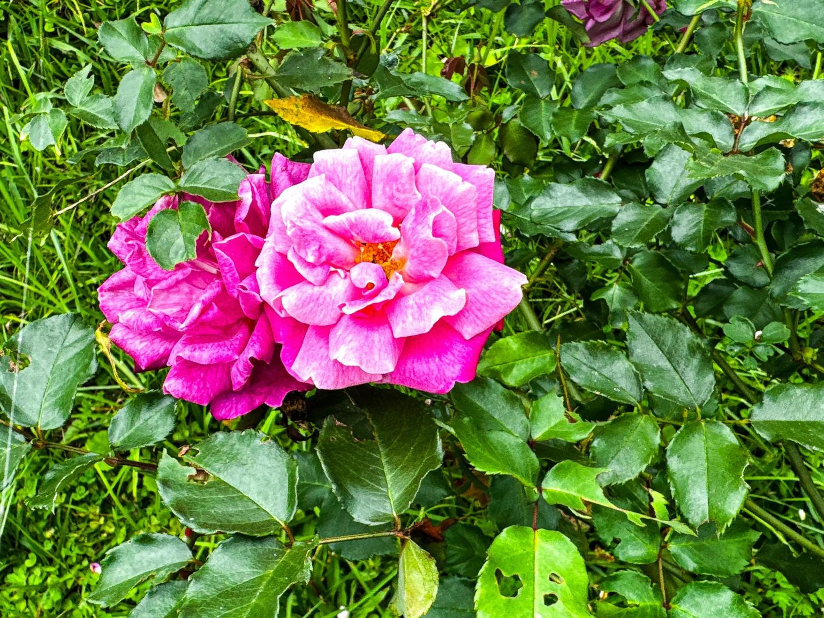 Day in Tierra Maravilla