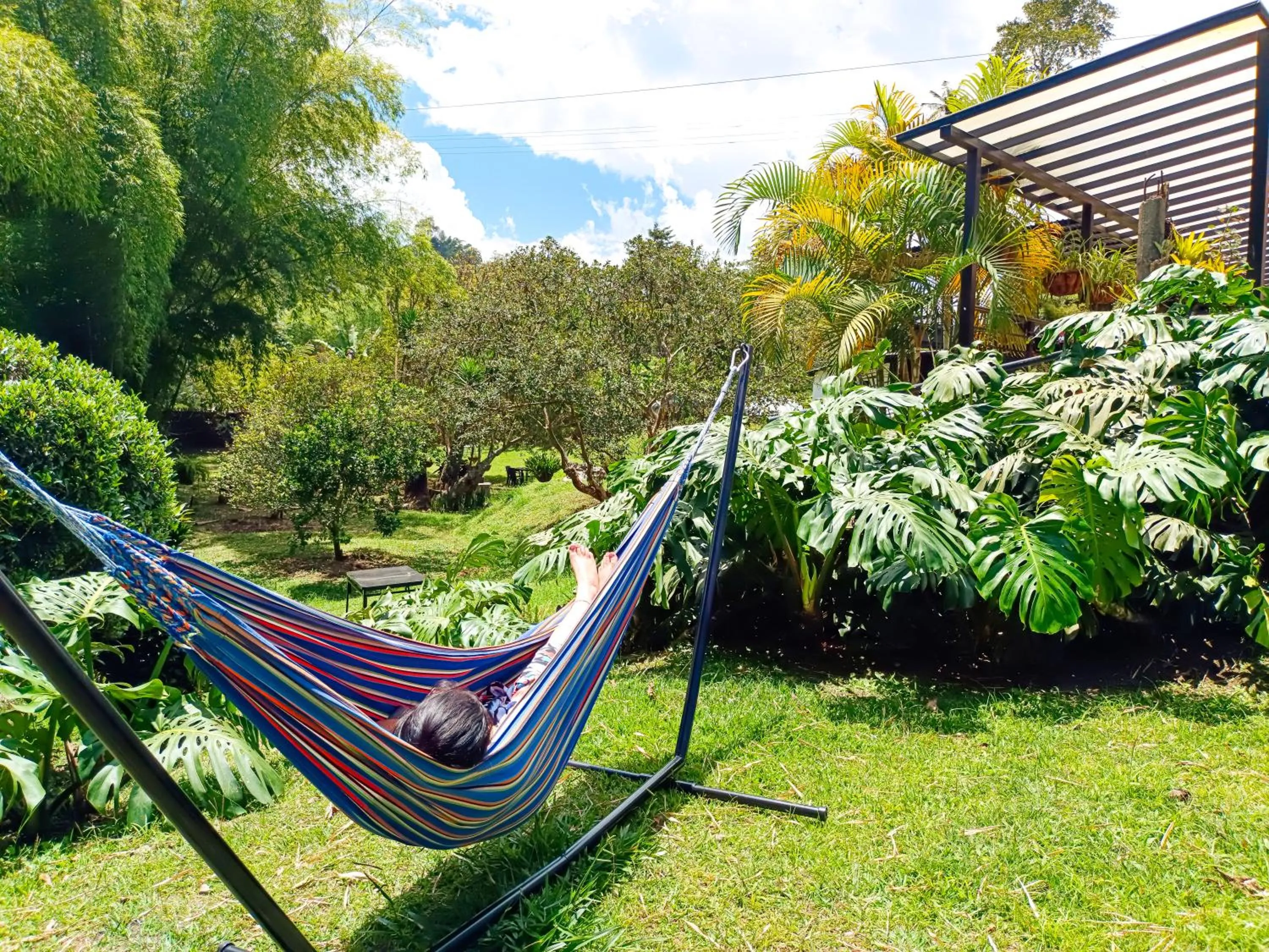 Day in Tierra Maravilla