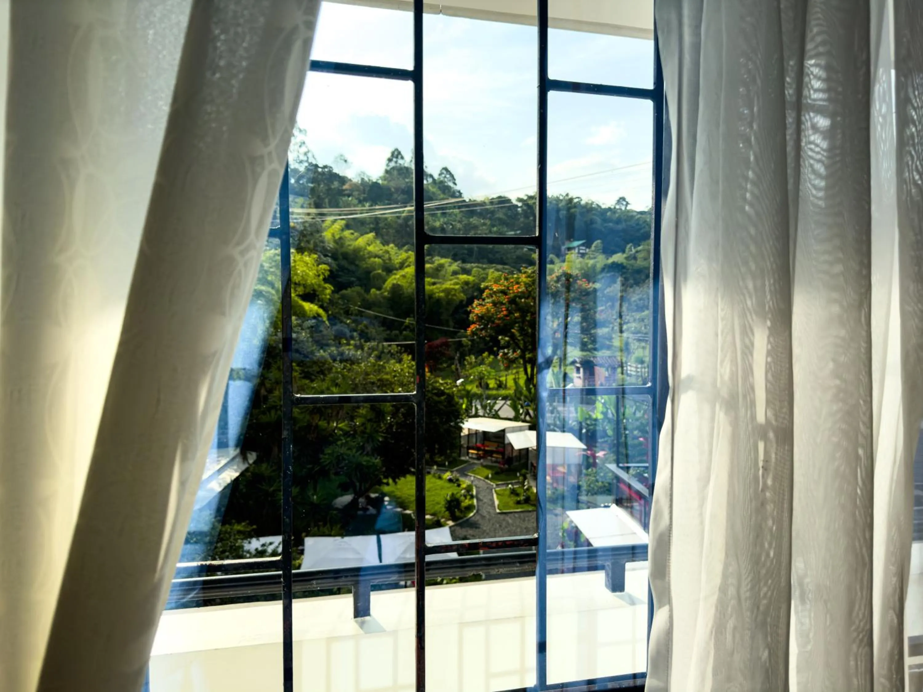 View (from property/room) in Tierra Maravilla