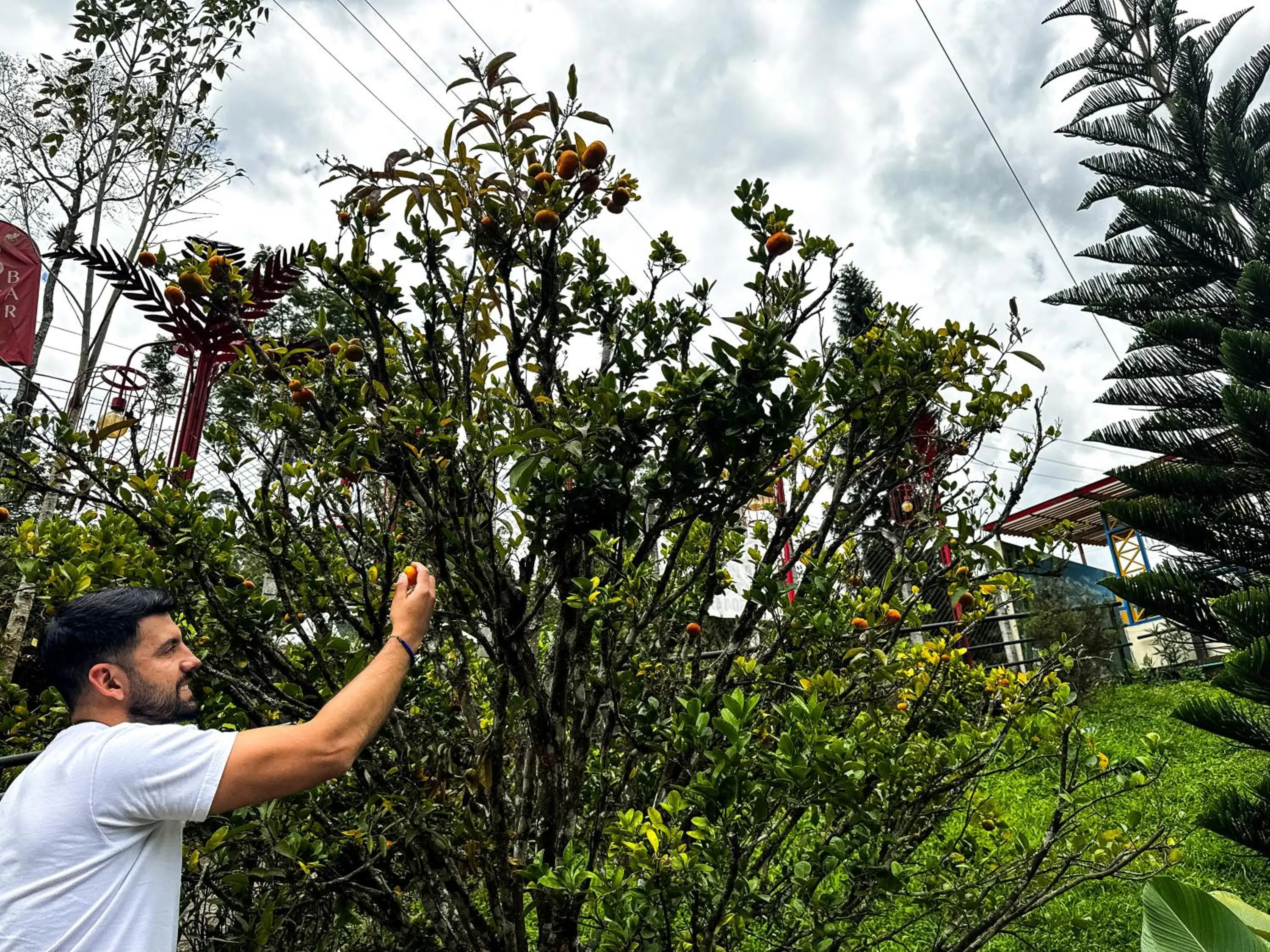 Day in Tierra Maravilla