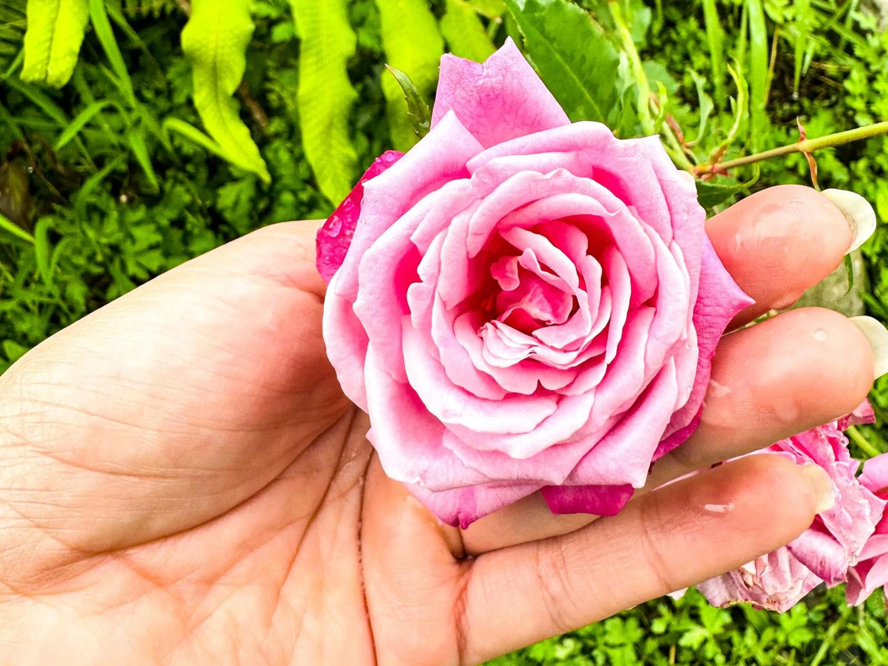 Day in Tierra Maravilla