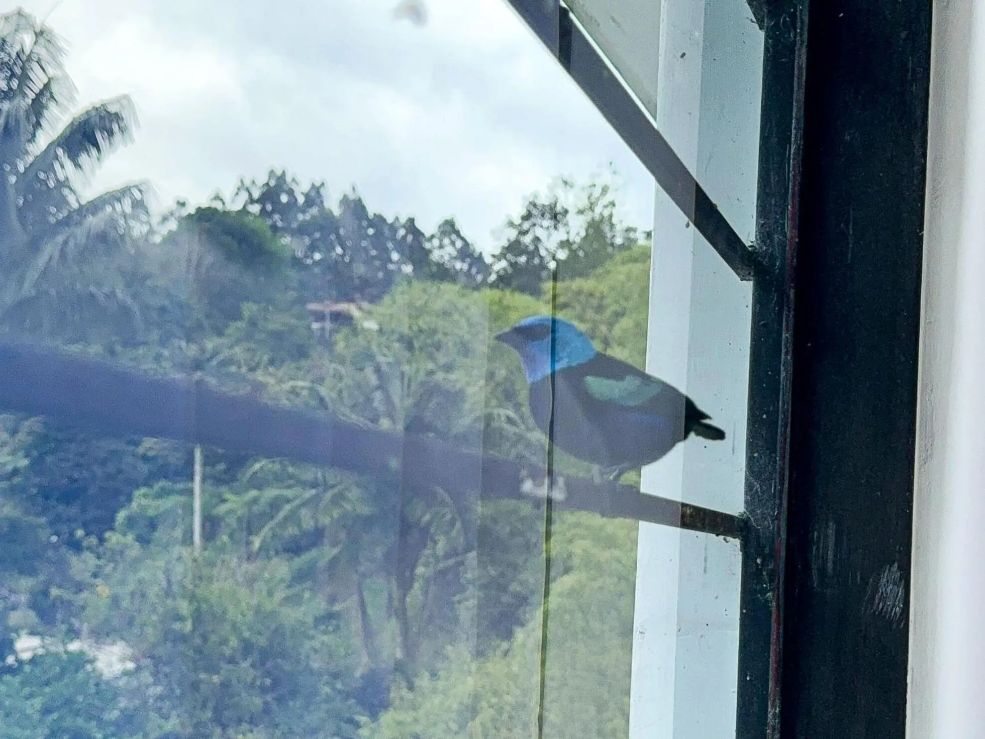 Day in Tierra Maravilla