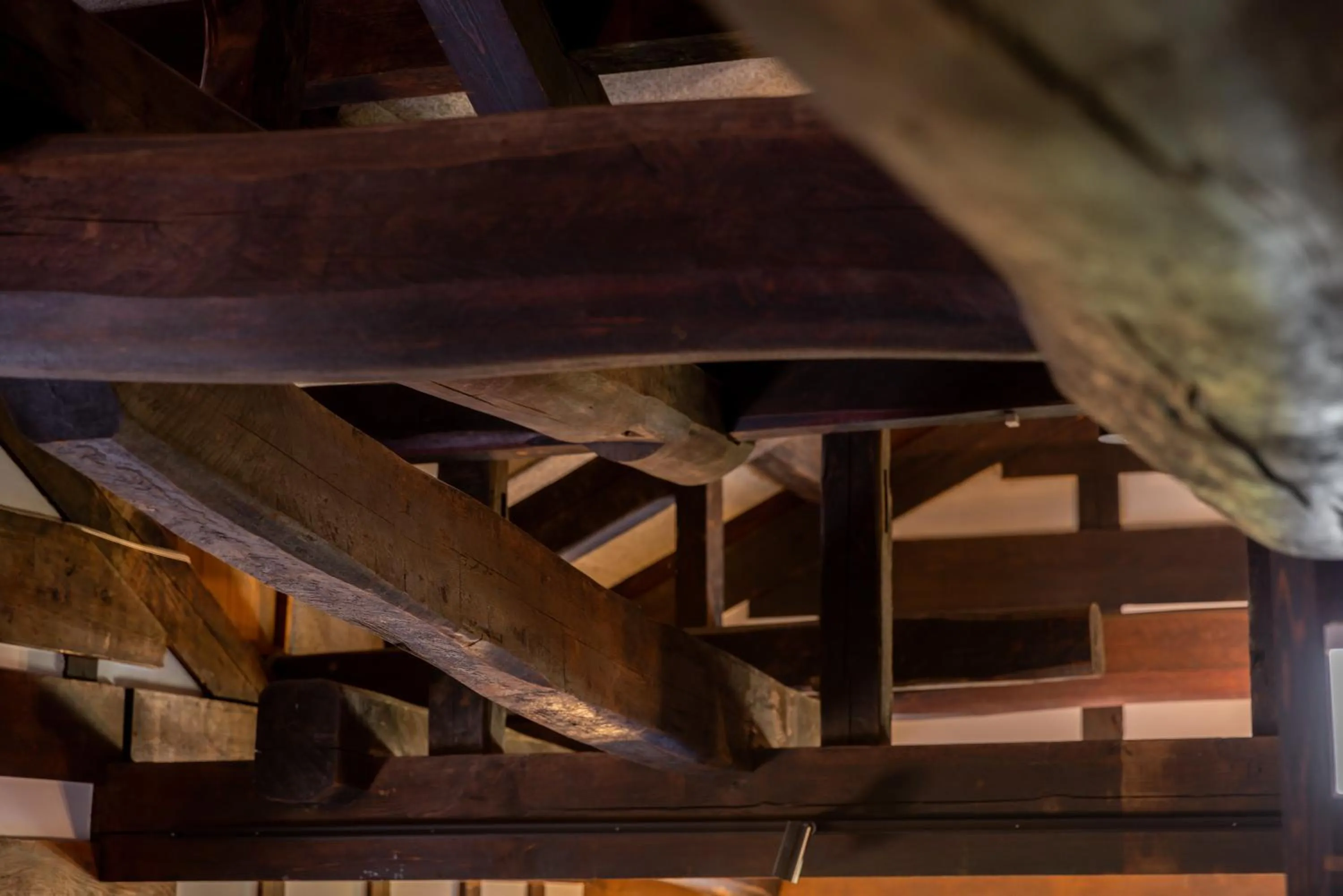 Restaurant/places to eat in Hotarutei Villas