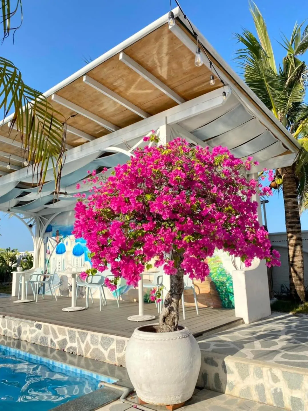 Day in Santorini Villa Cam Ranh