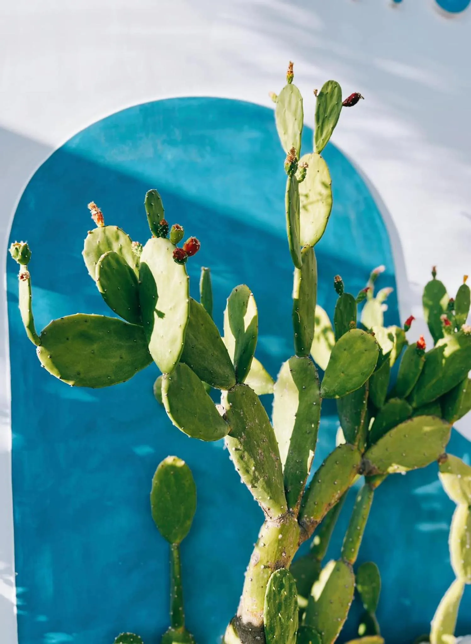 Natural landscape in Santorini Villa Cam Ranh