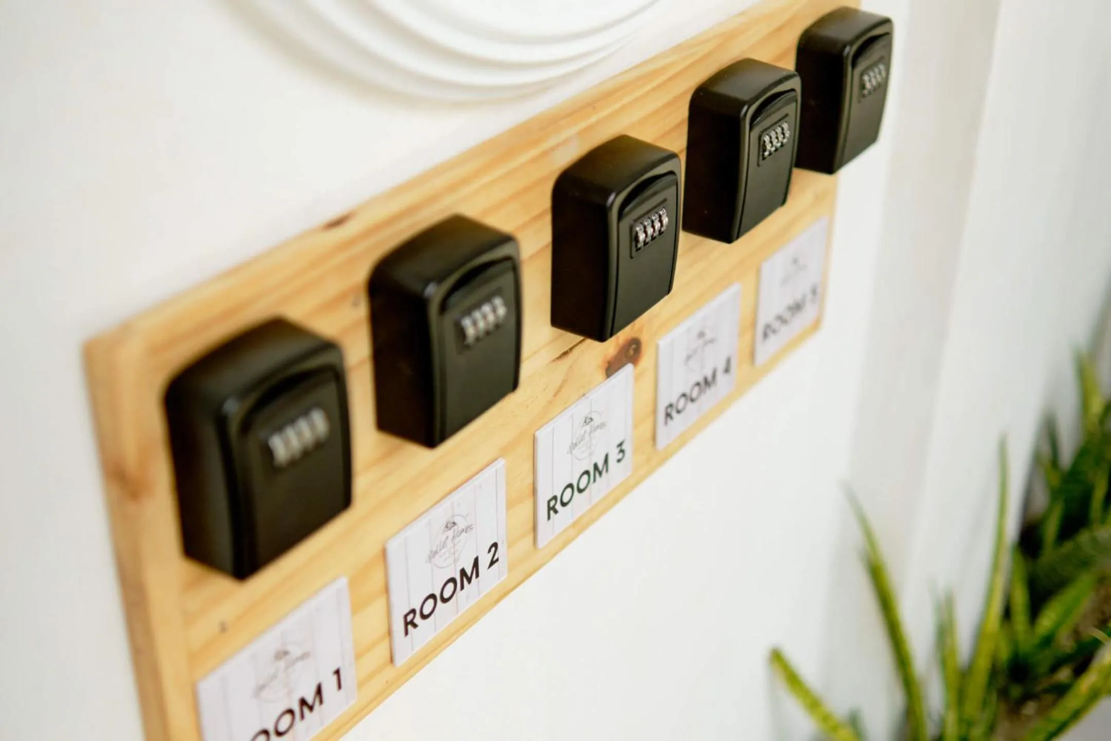 Property building in Pallet Homes - Ledesco