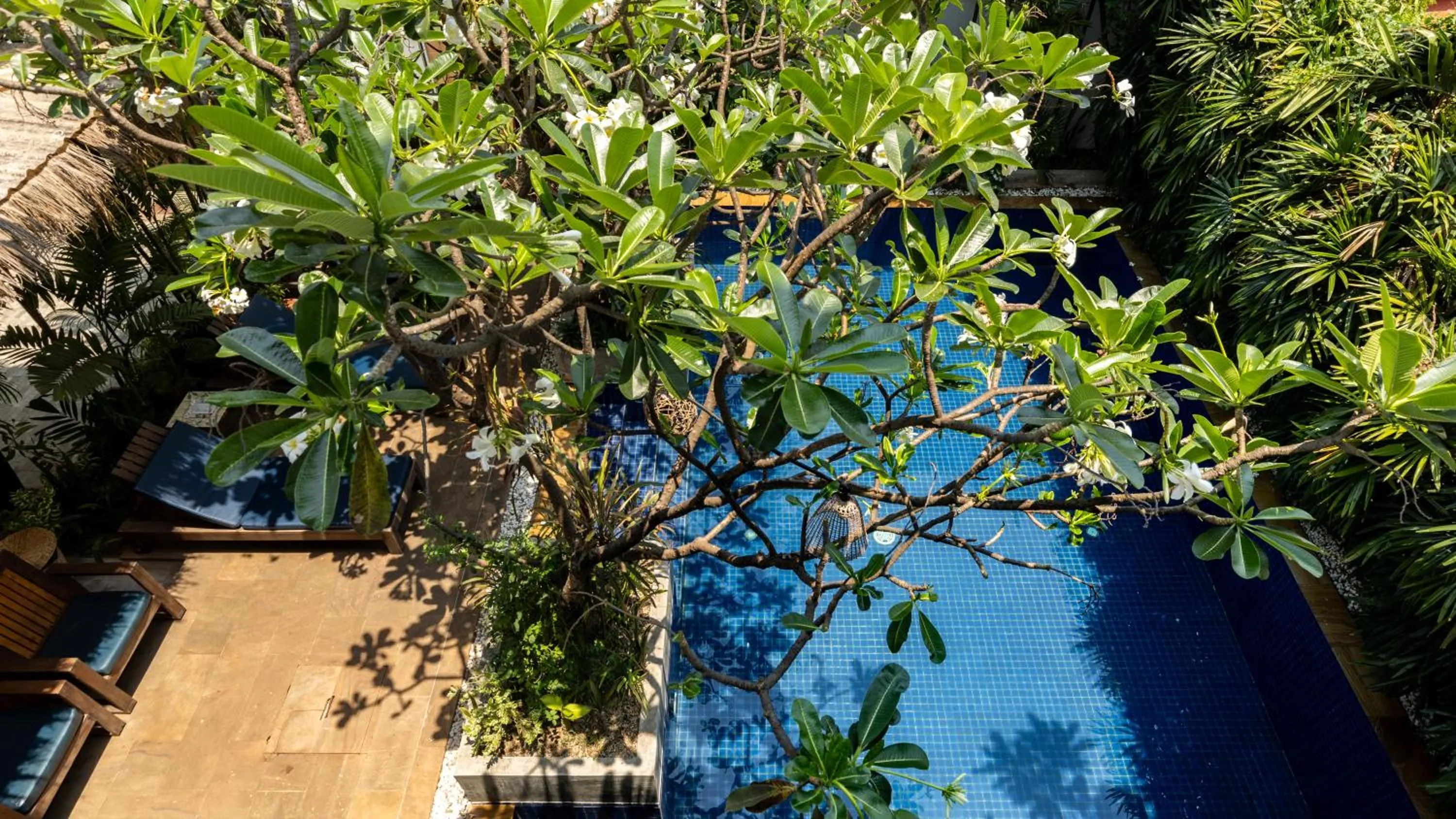 Swimming pool in Babel Boutique