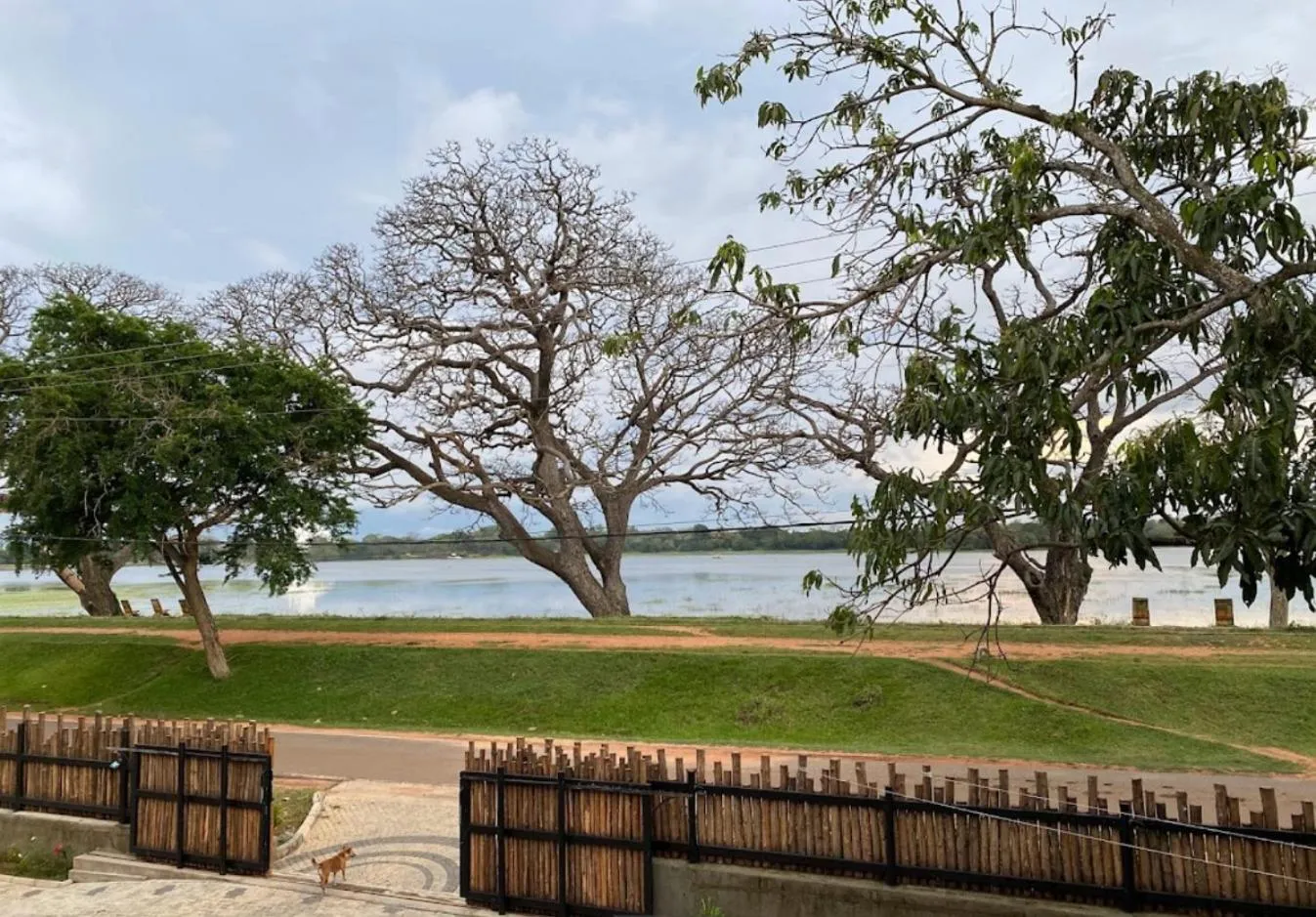 Natural landscape in Abhaya Mandapa