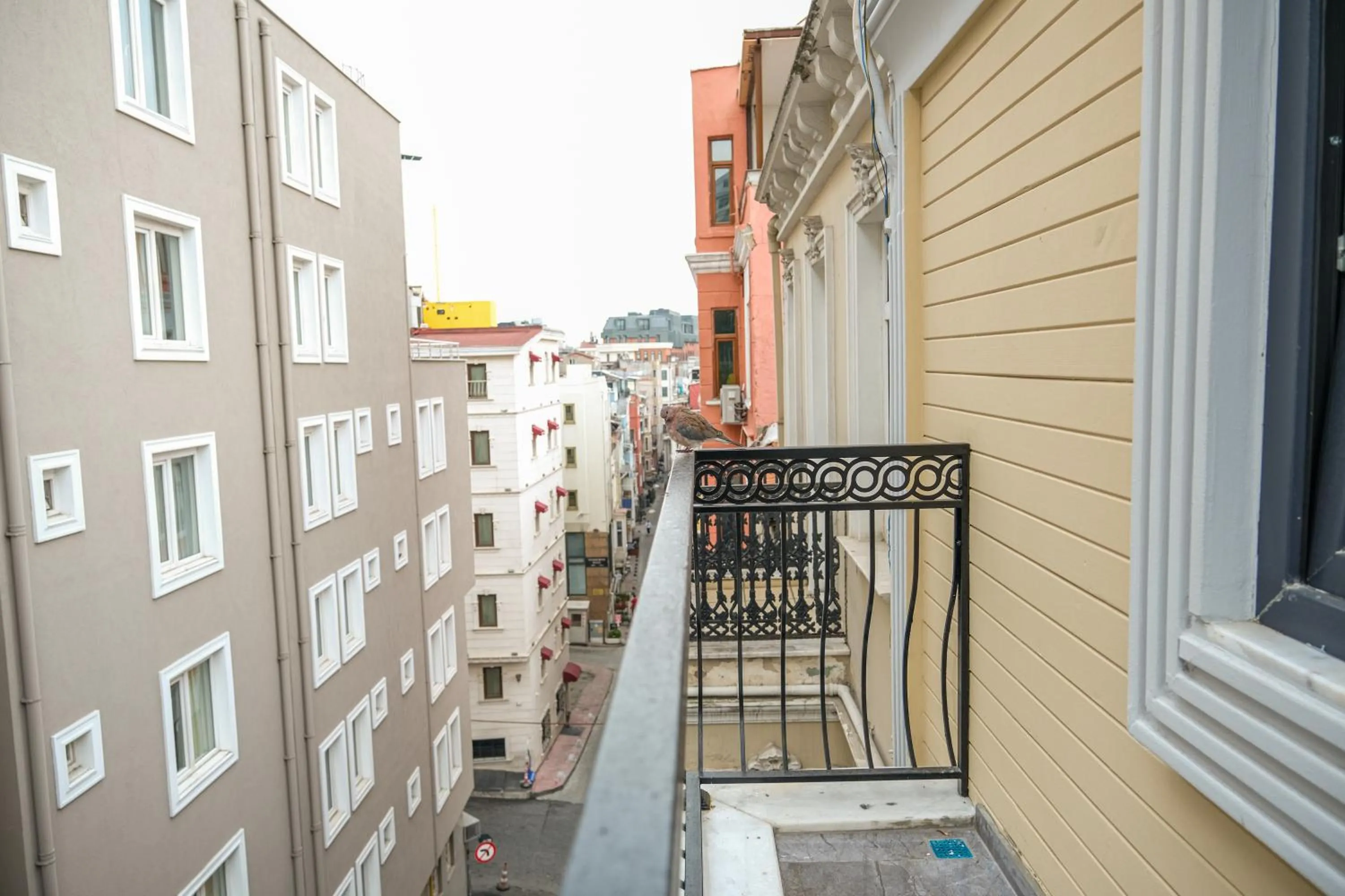 View (from property/room) in Yellow Mansion