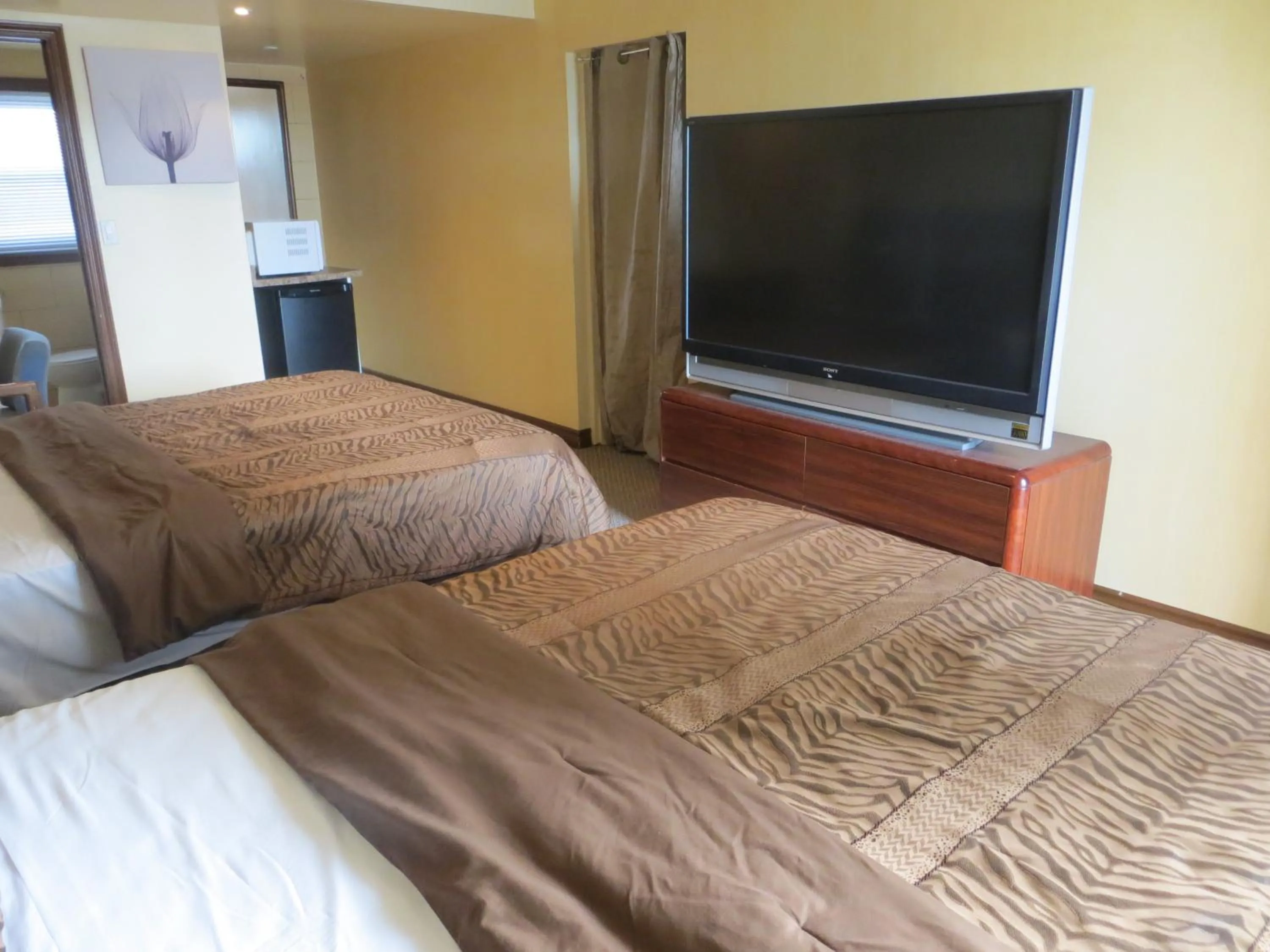 TV and multimedia, Bed in Mayflower Motel