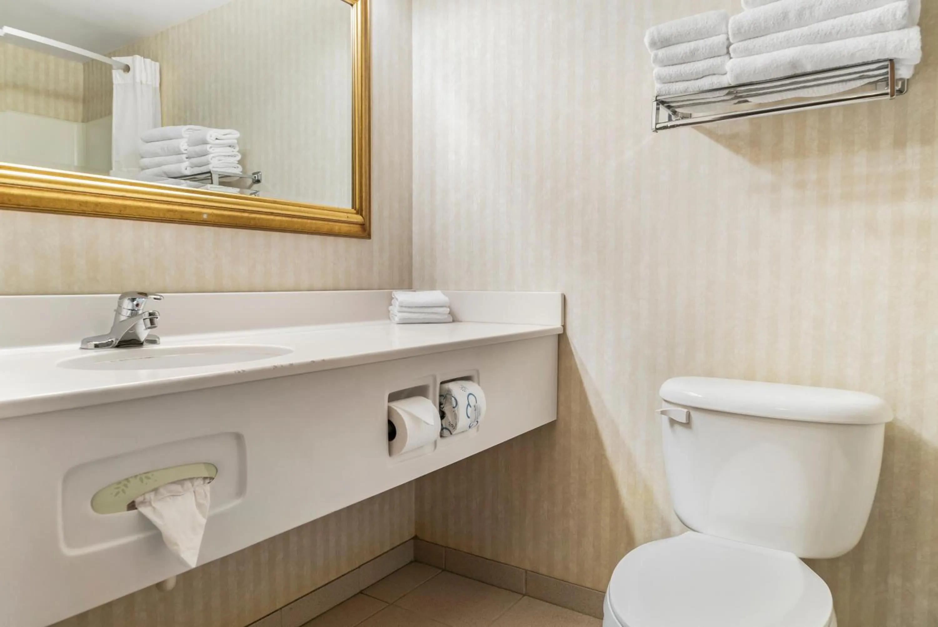 Bathroom in Quality Inn & Suites Manistique