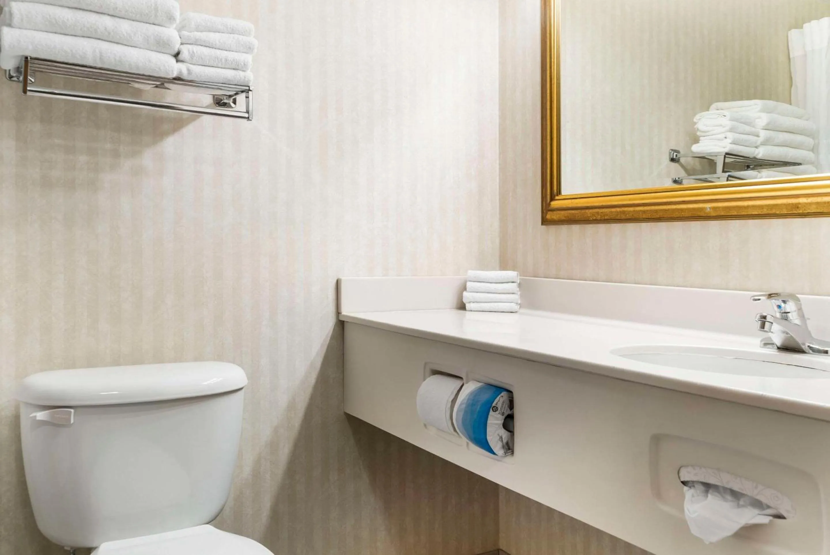 Bedroom in Quality Inn & Suites Manistique