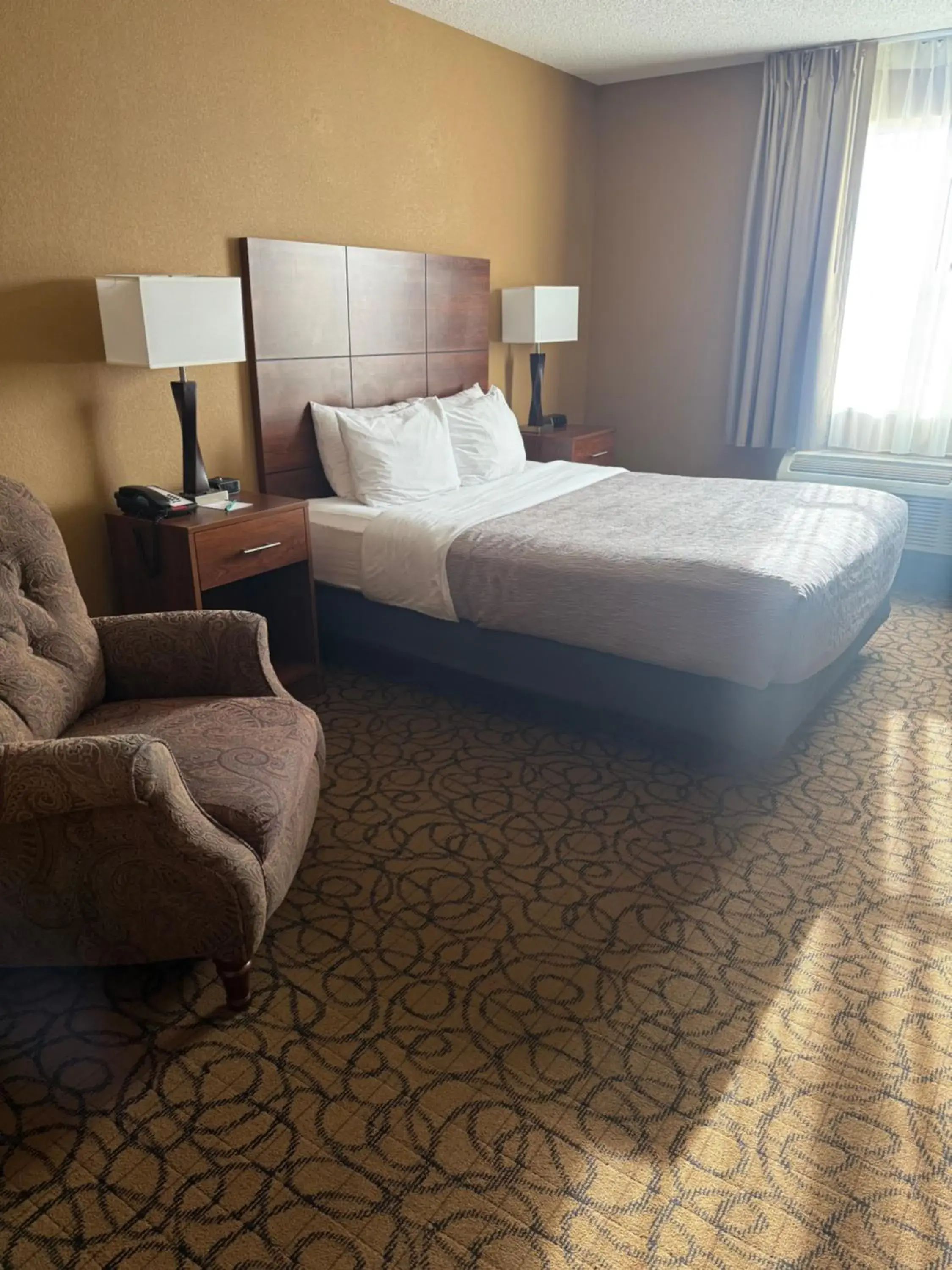 Queen Room - Accessible/Non Smoking/1st Floor in Quality Inn & Suites Queen Room - Accessible/Non Smoking/1st Floor in Quality Inn & Suites