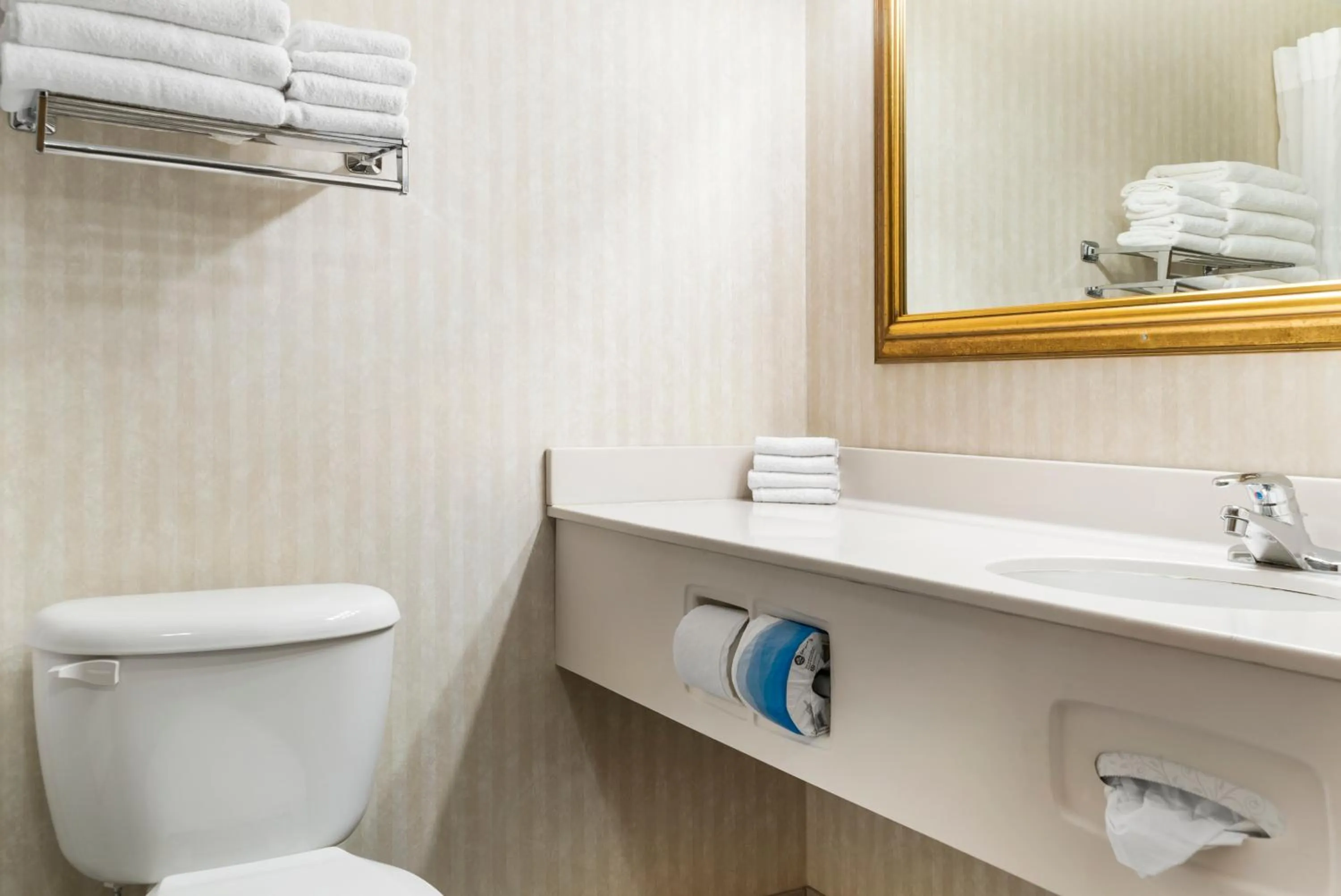 Bathroom in Quality Inn & Suites Manistique