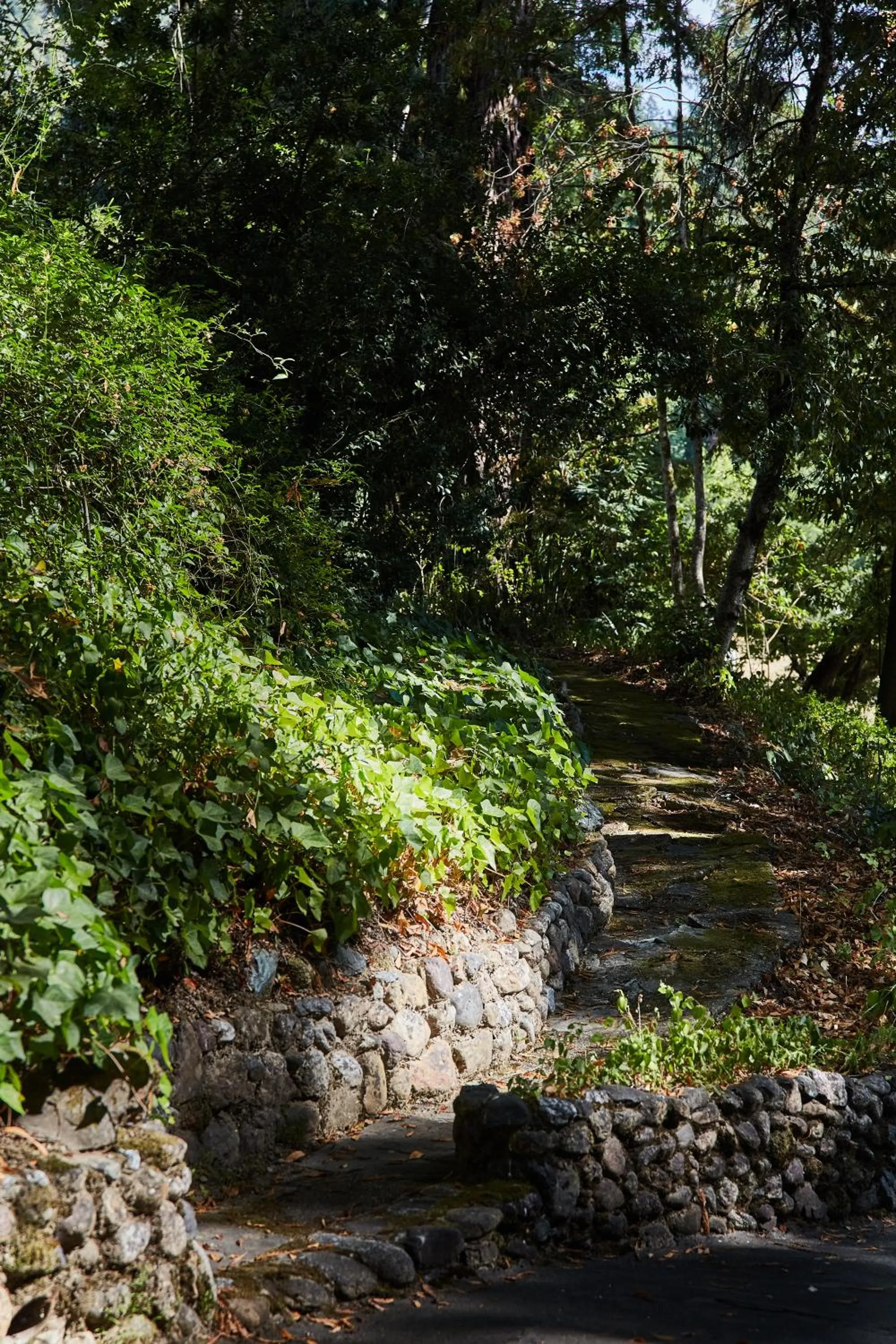 Natural landscape in Mine and Farm, The Inn at Guerneville, CA