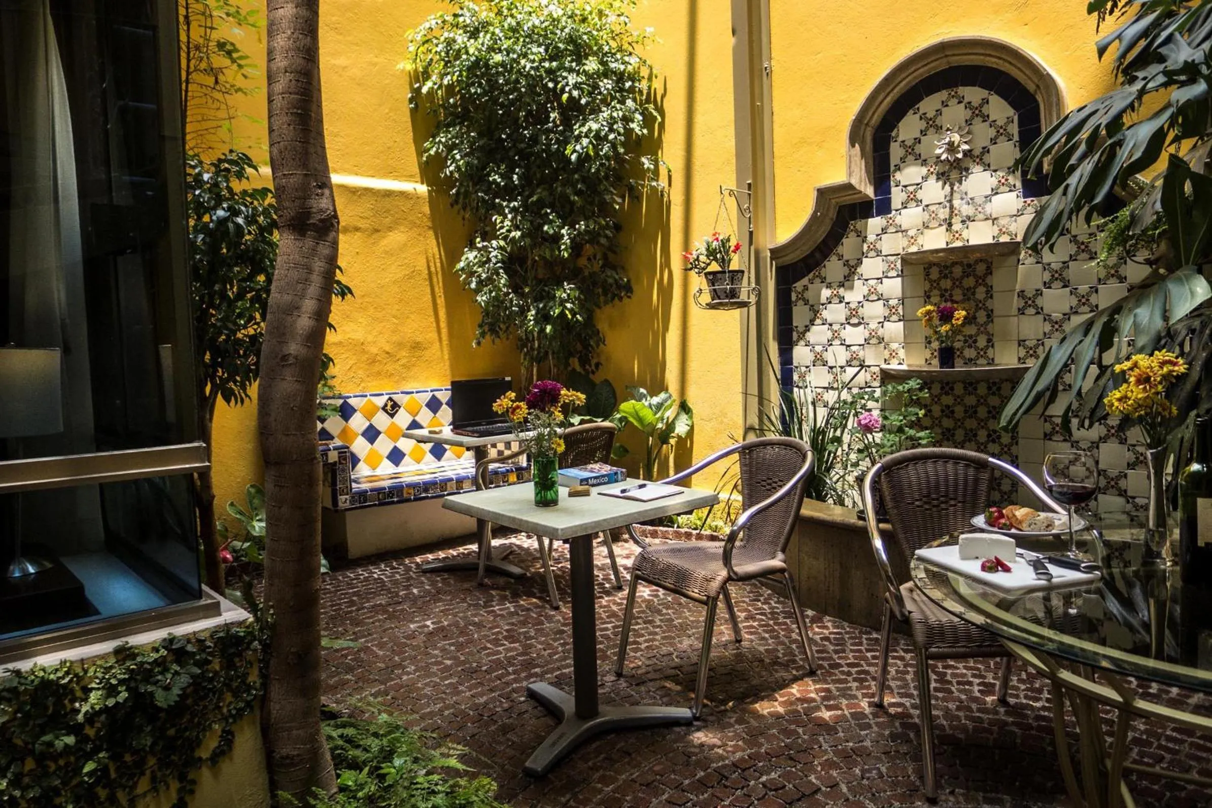 Garden in Chalet del Carmen, Coyoacán