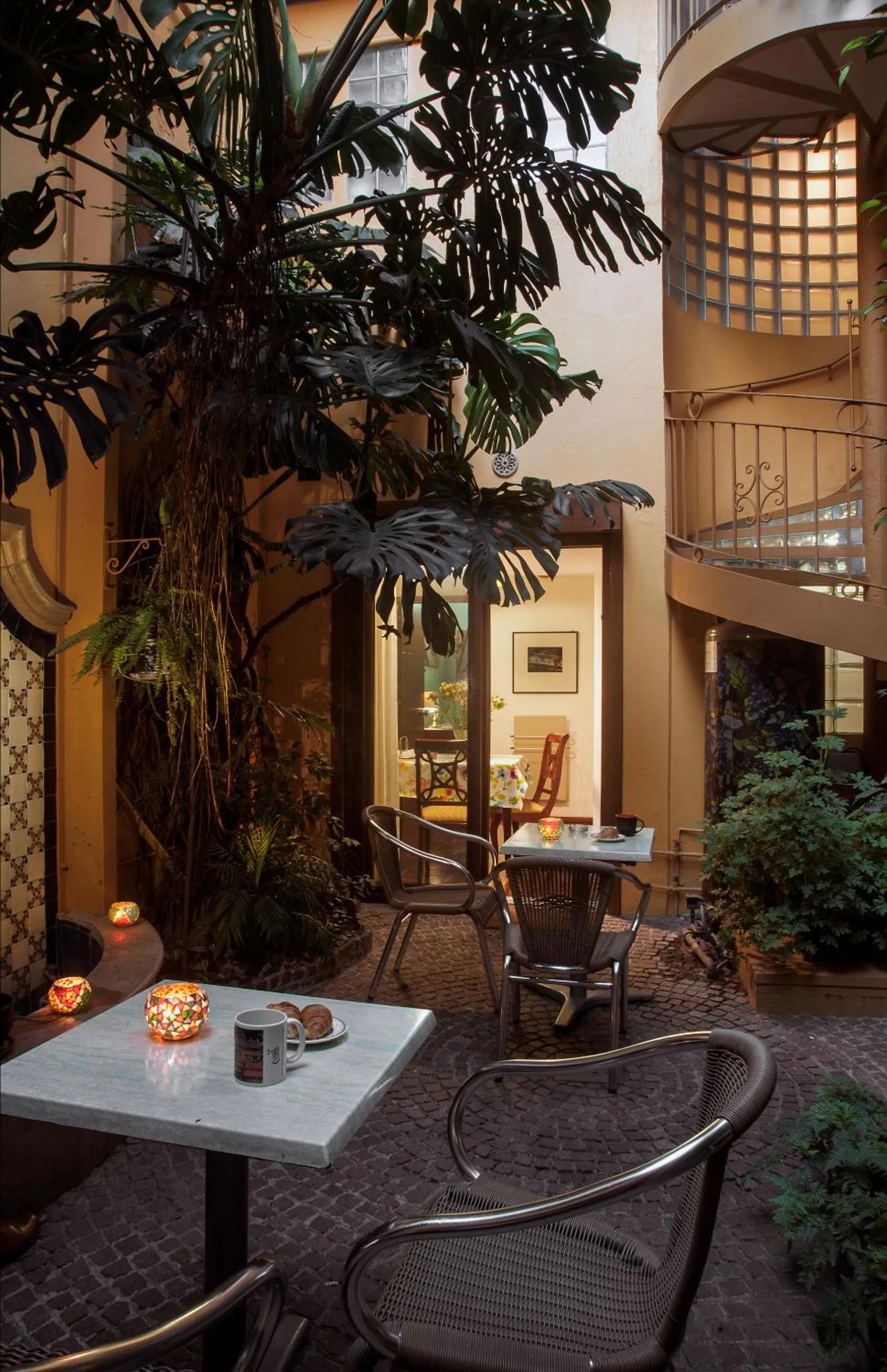 Garden in Chalet del Carmen, Coyoacán