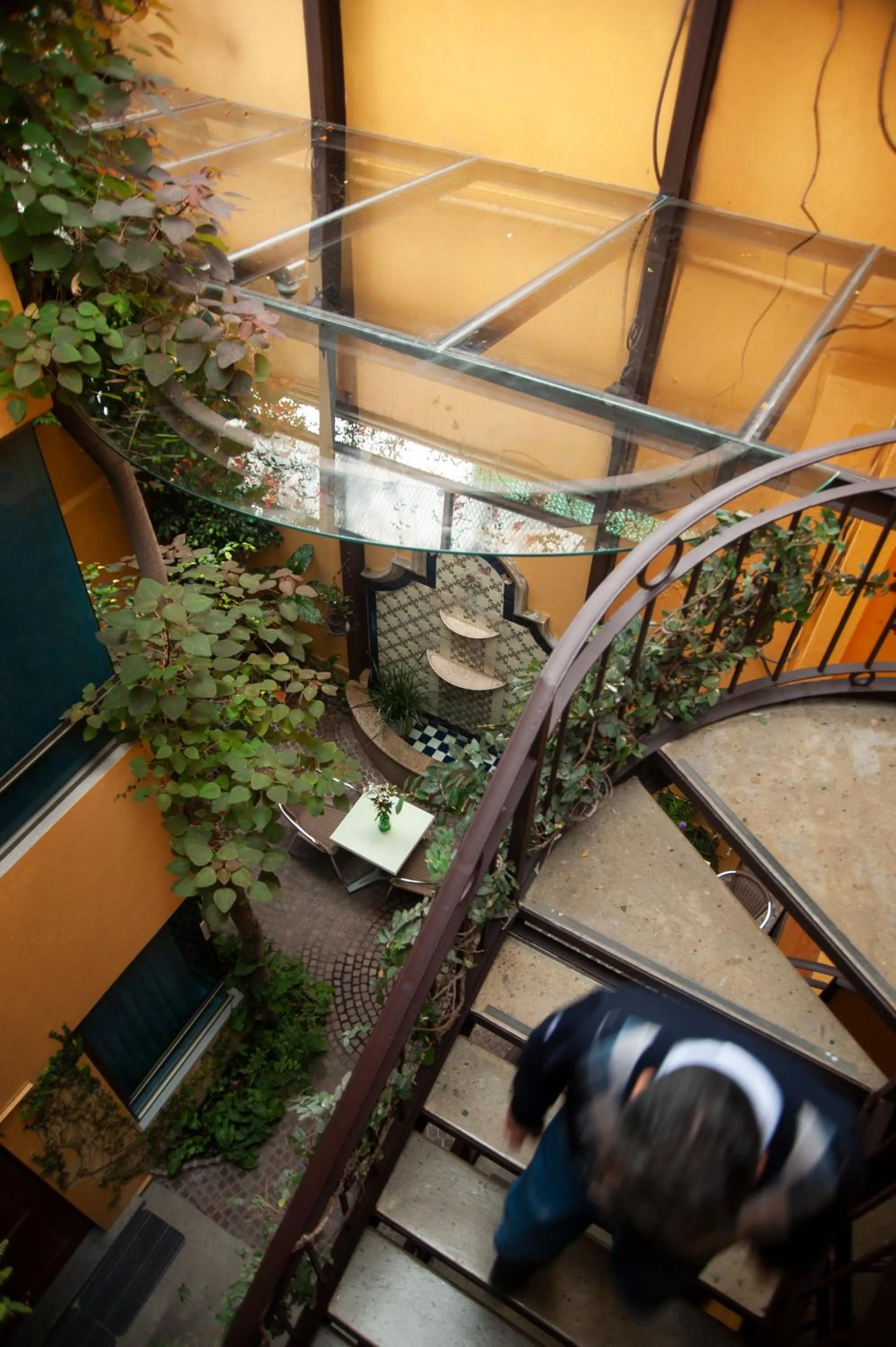 Bird's eye view in Chalet del Carmen, Coyoacán
