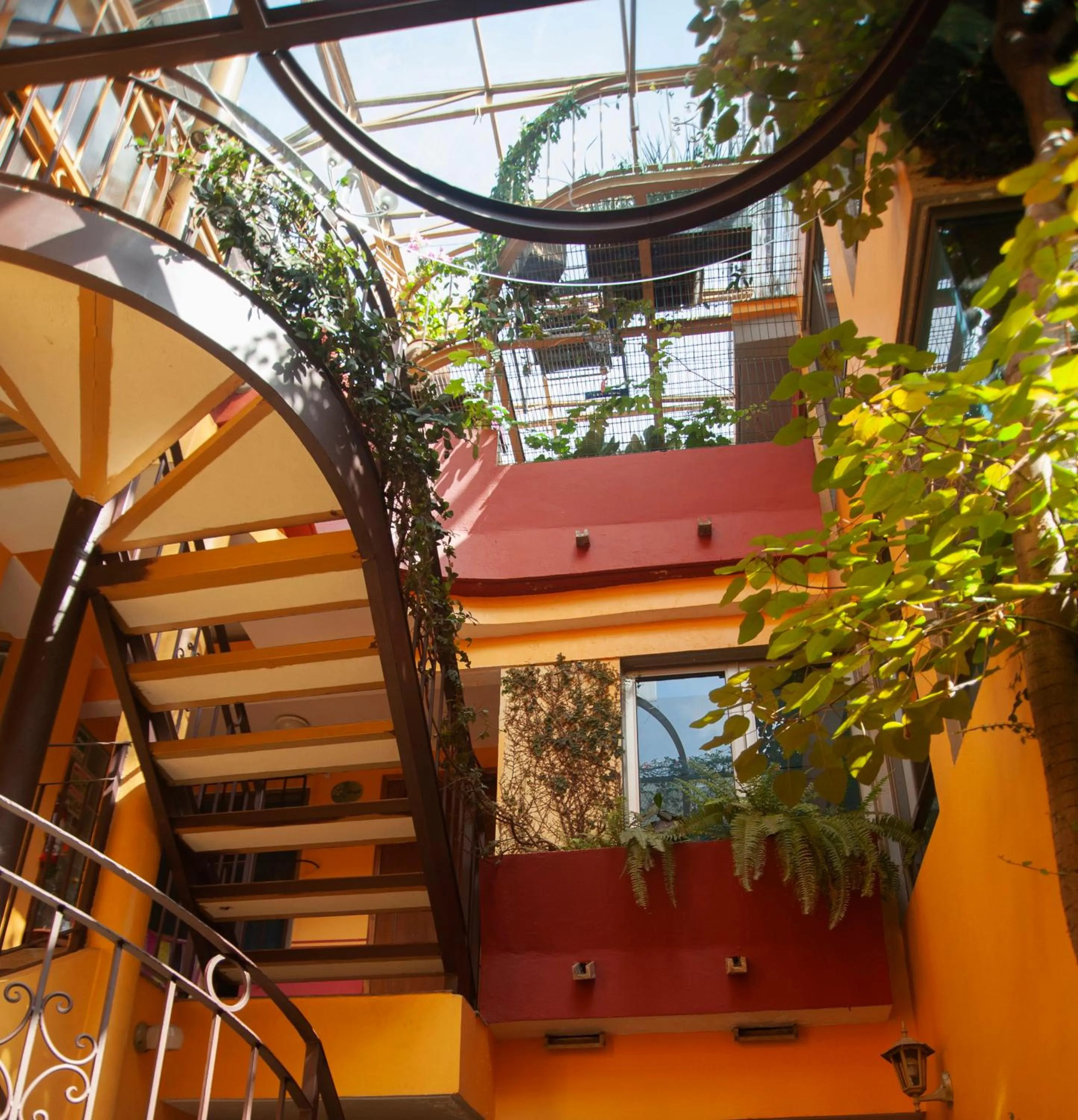 Property building in Chalet del Carmen, Coyoacán