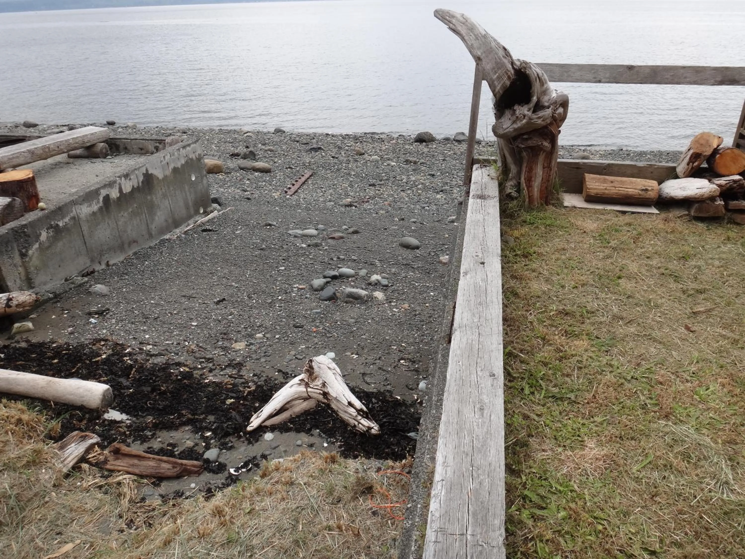 View (from property/room) in Orca Lodge
