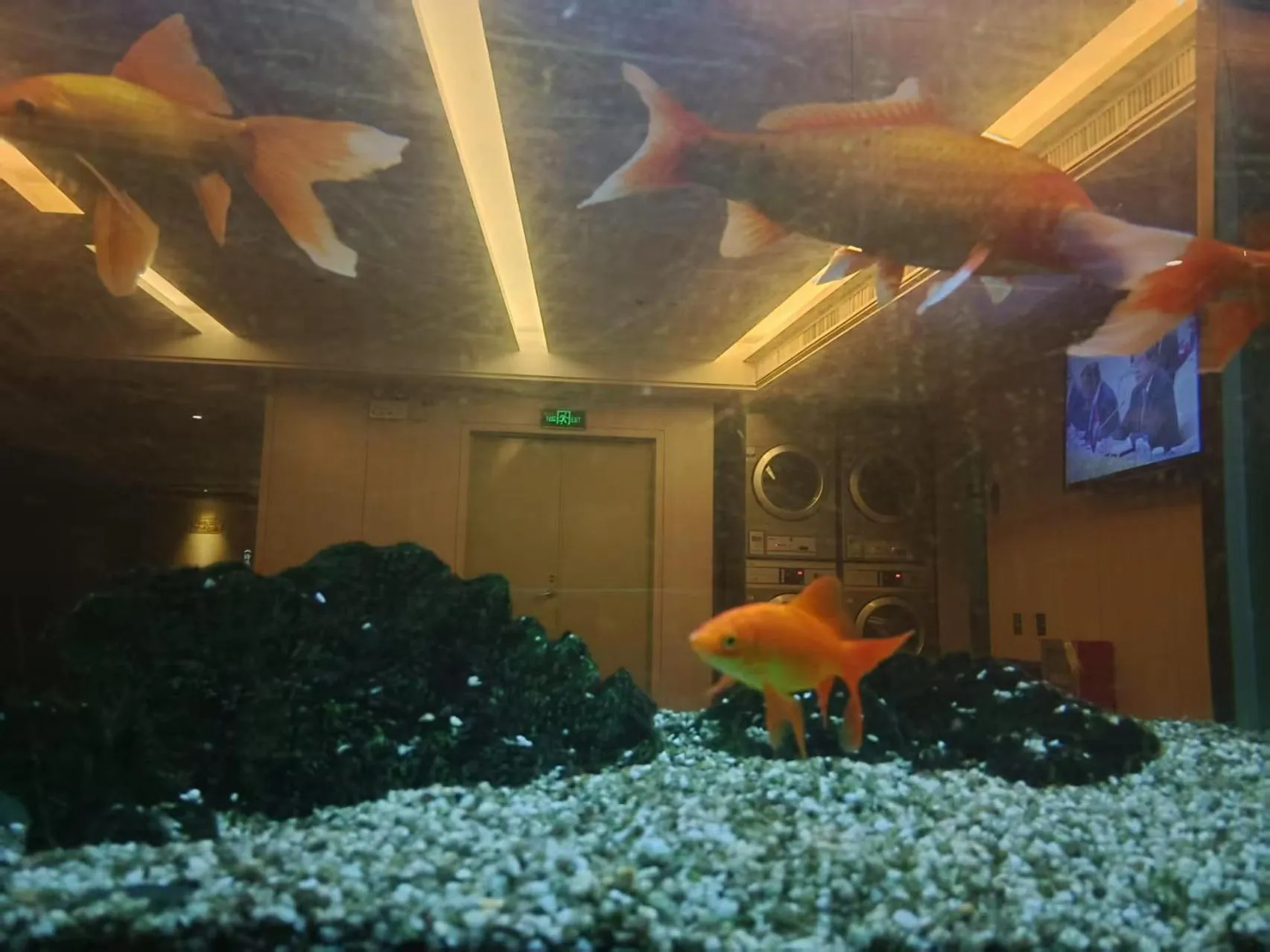 Property building in Paco Hotel Tianhe Coach Terminal Metro Satation Guangzhou-Free Shuttle Bus for Canton Fair