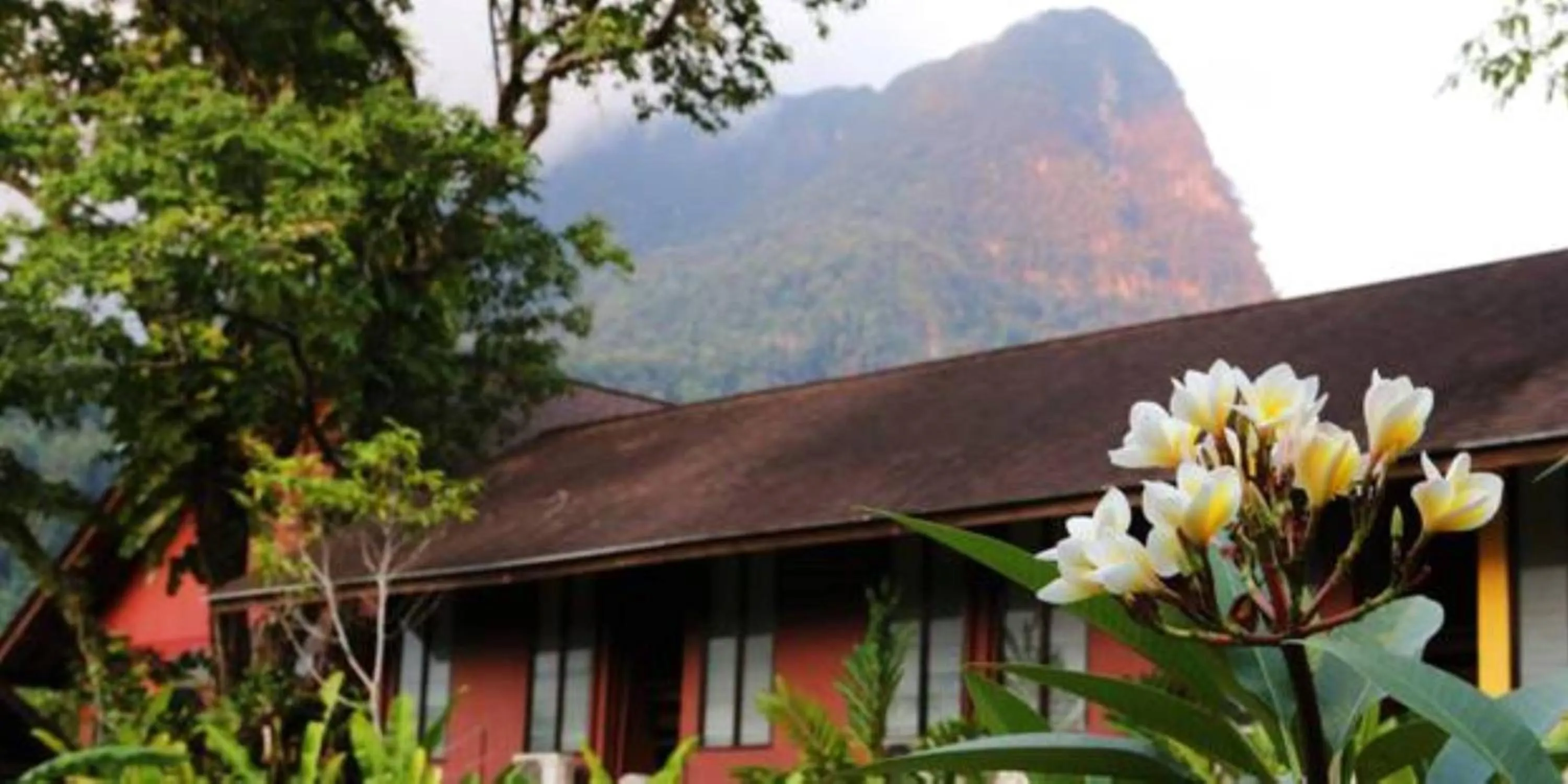 Natural landscape in The Village House