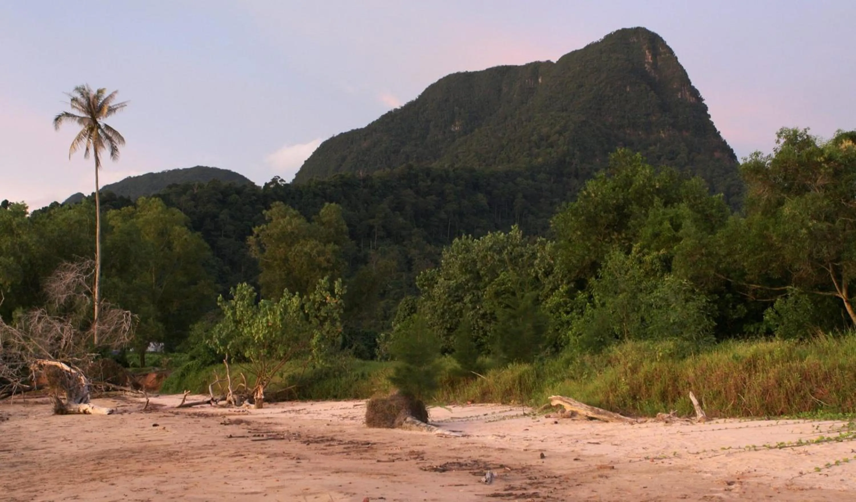 Area and facilities in The Village House