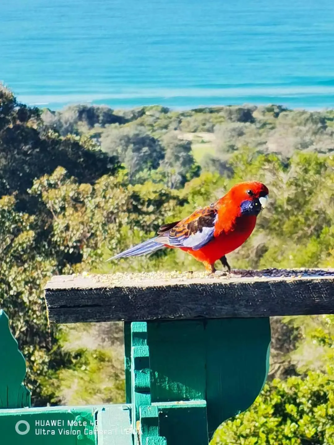 Property building in The Goat and Goose Bed & Breakfast