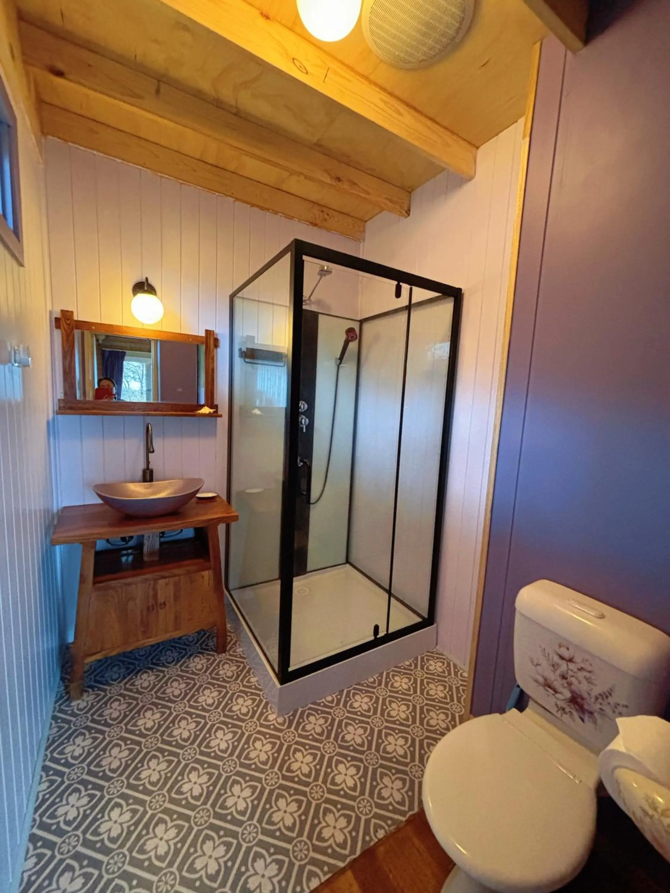 Shower in The Goat and Goose Bed & Breakfast