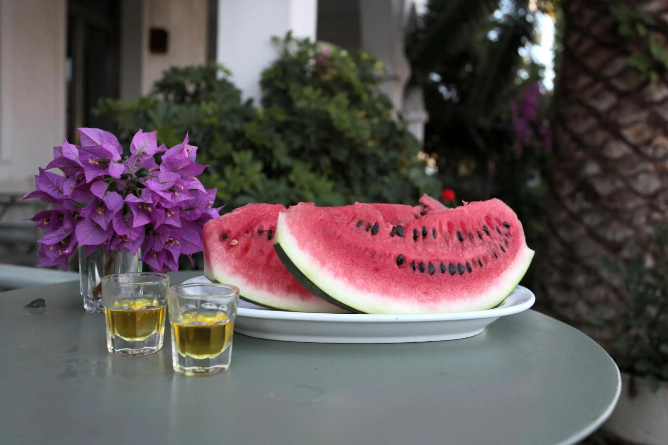 Garden in Achilleion Hotel