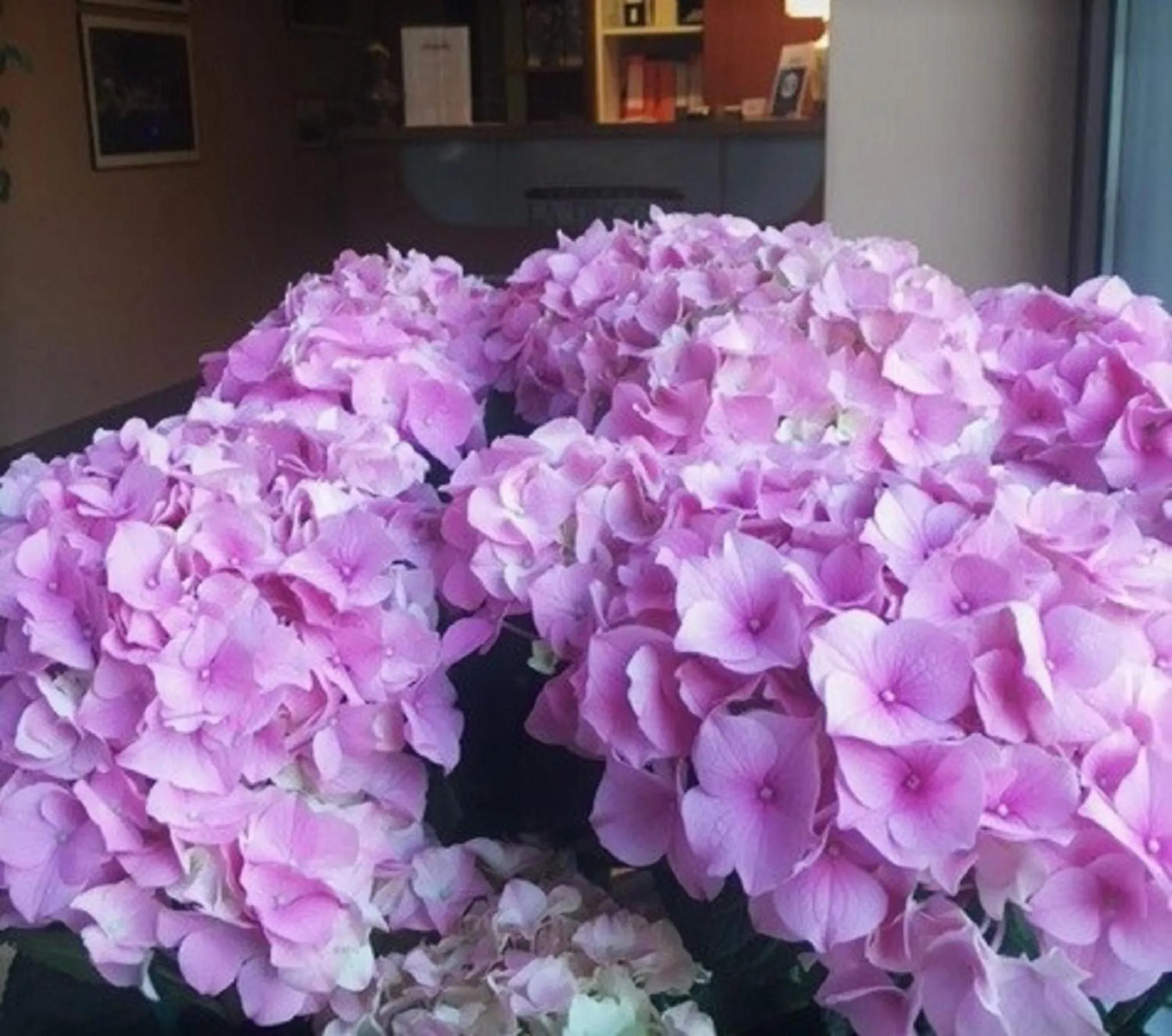 Lobby or reception in La Trigola