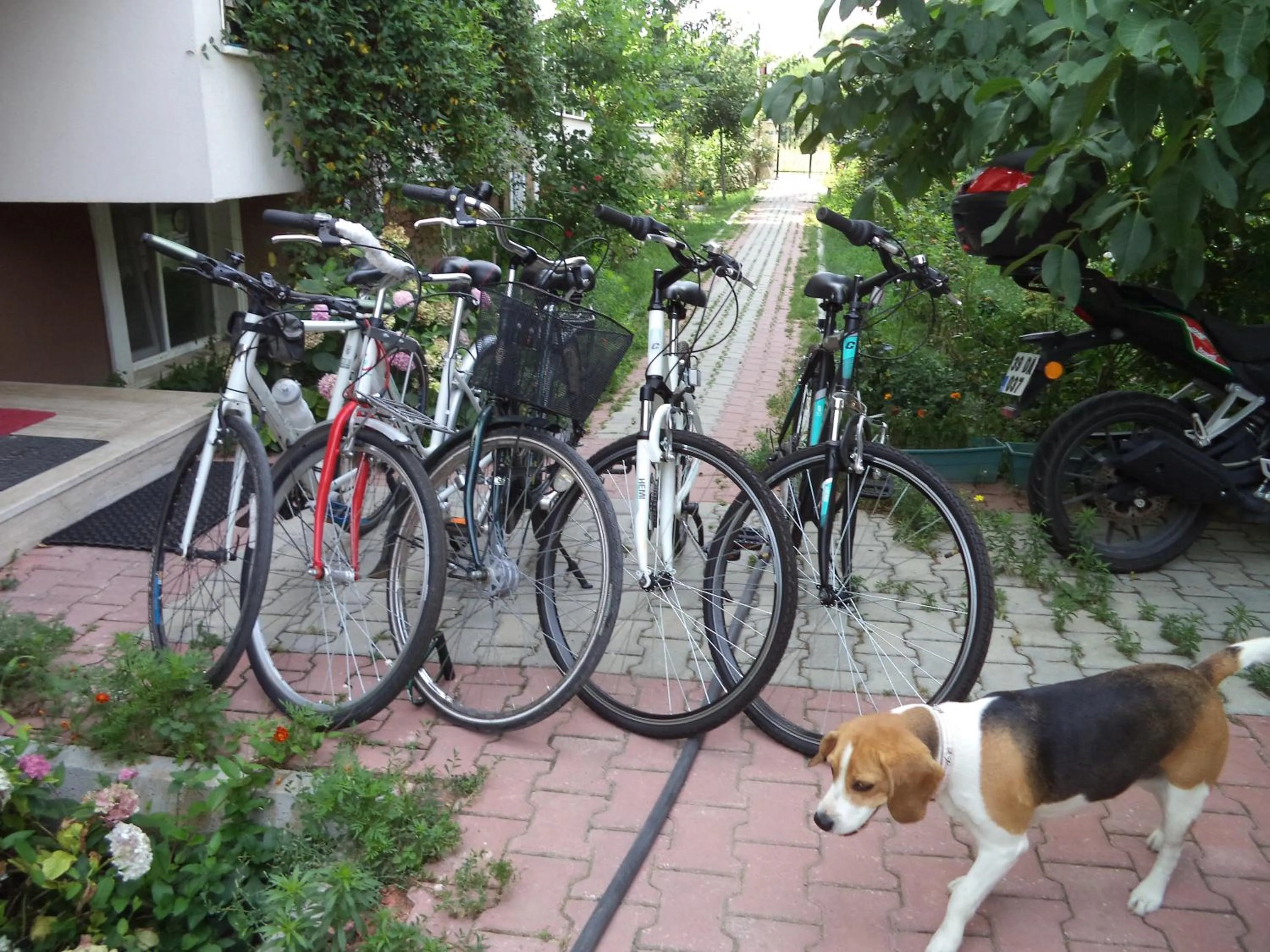 Cycling in Karaagac Green Edirne