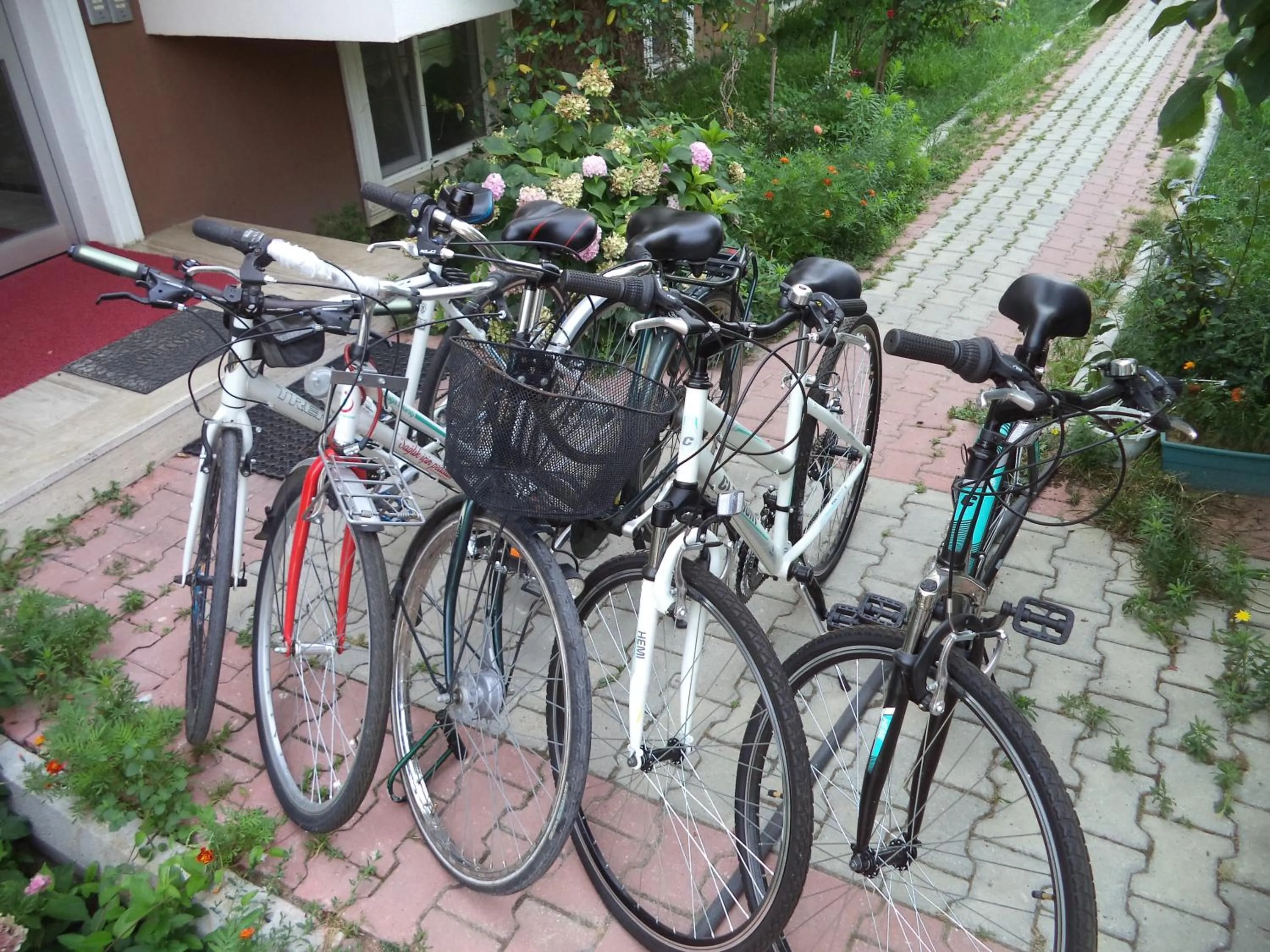 Cycling in Karaagac Green Edirne