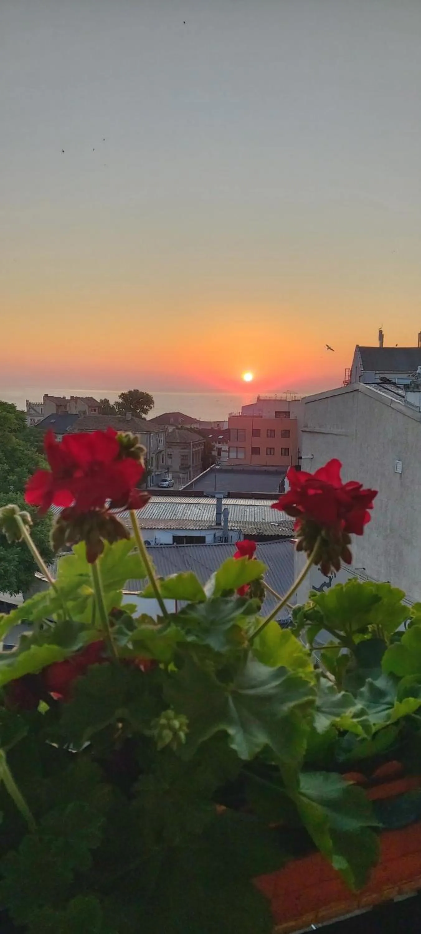 Sunrise in Villa Anticus (Adults Only)