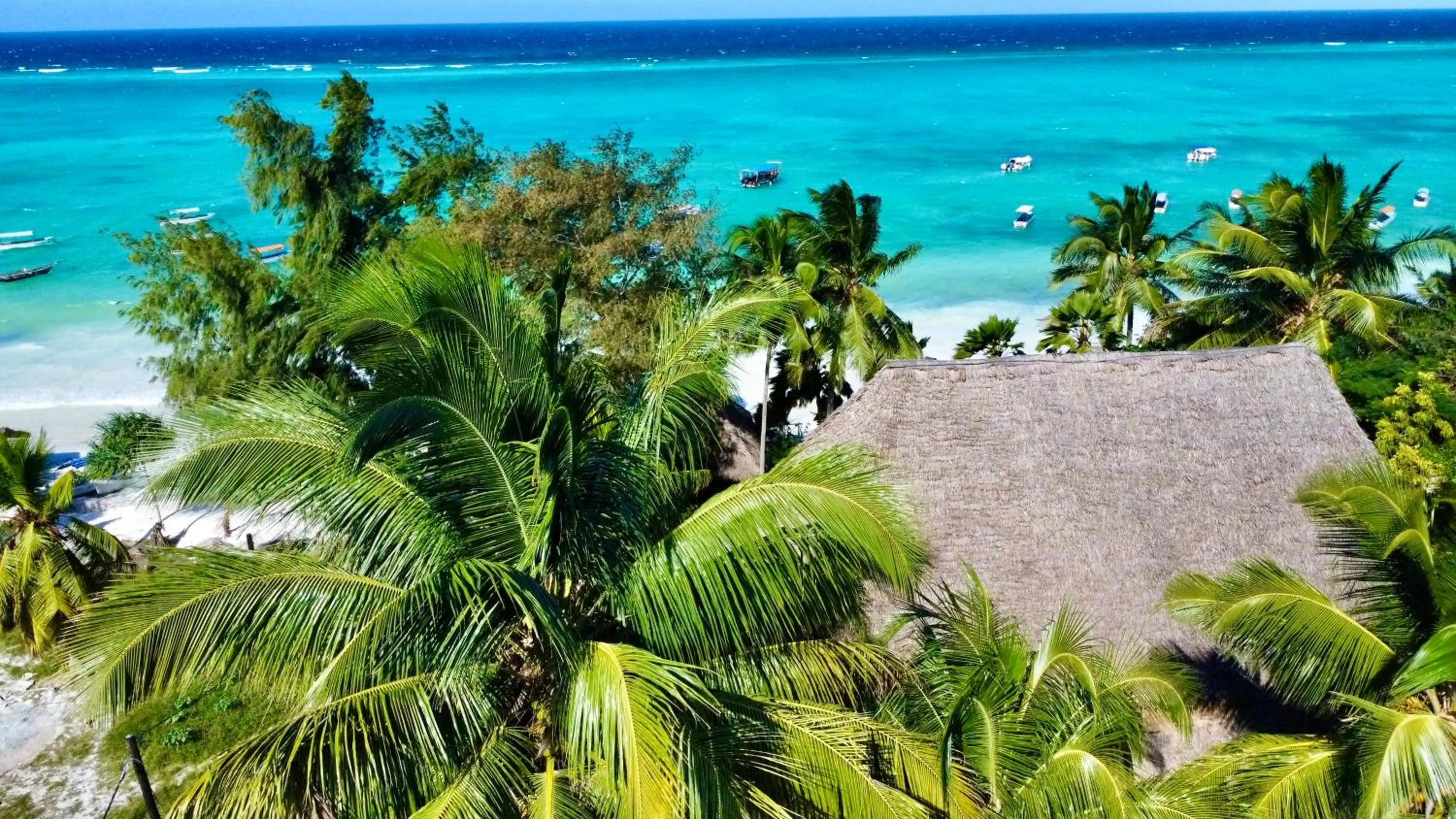 Bird's eye view in The Seles Boutique Hotel