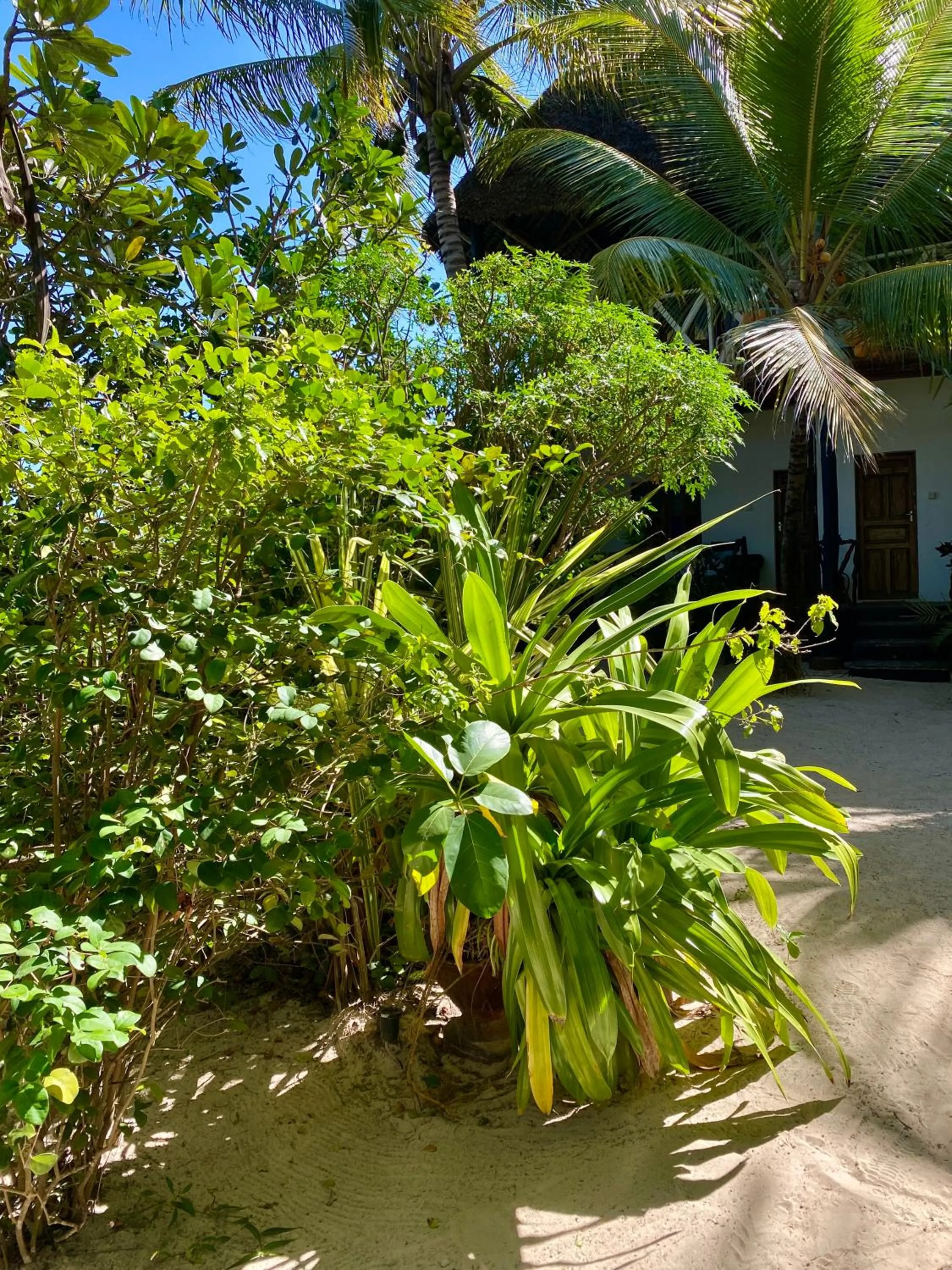 Natural landscape in The Seles Boutique Hotel