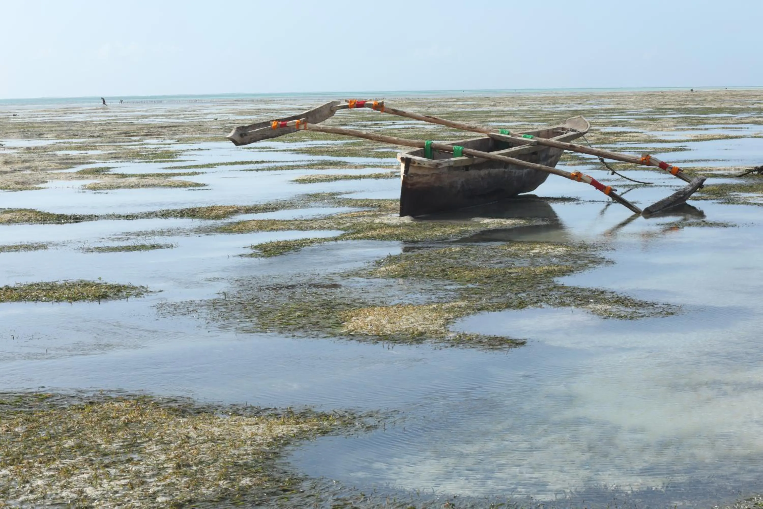 Beach in Bahari Beach Bungalows
