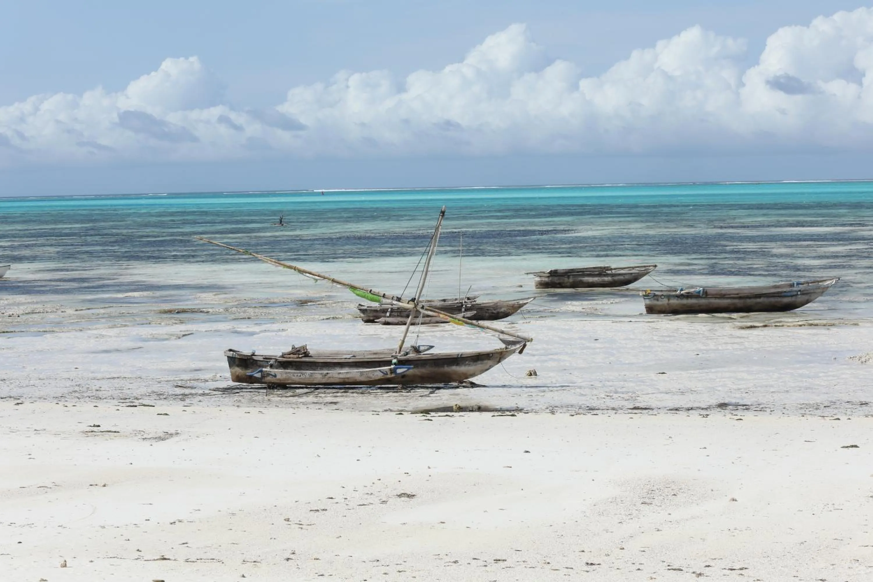 Beach in Bahari Beach Bungalows