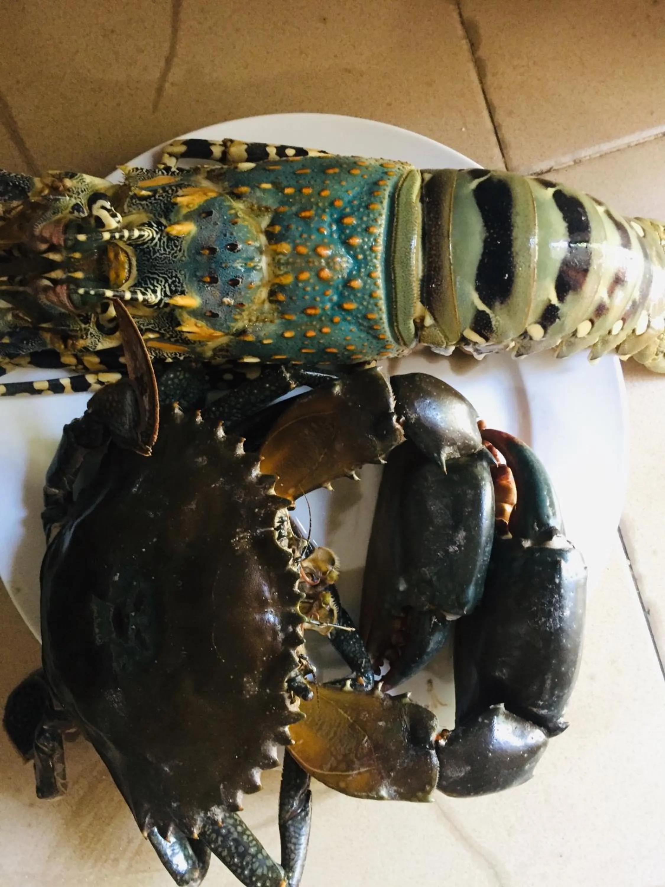 Food in Bahari Beach Bungalows