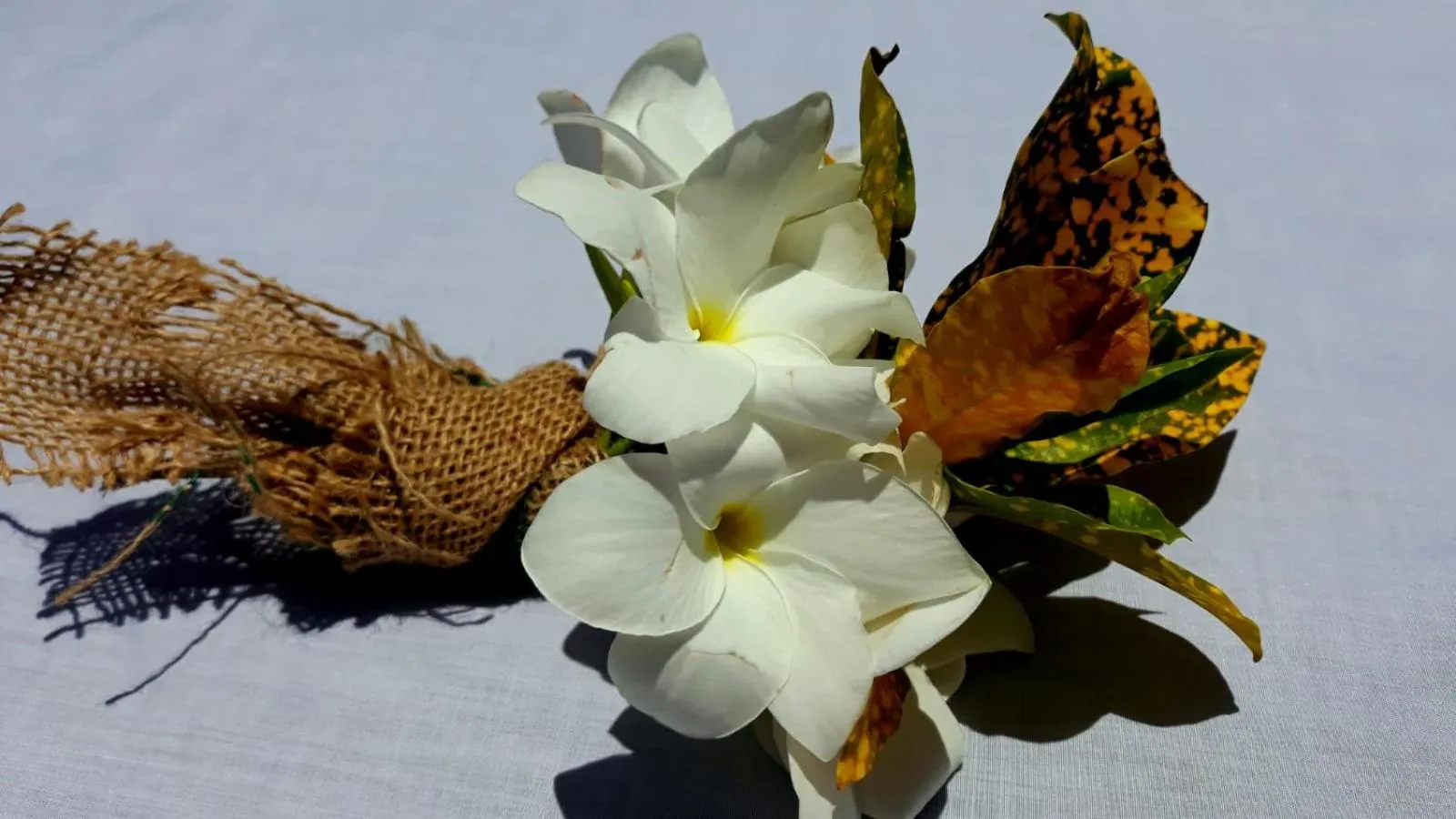 Garden in Bahari Beach Bungalows
