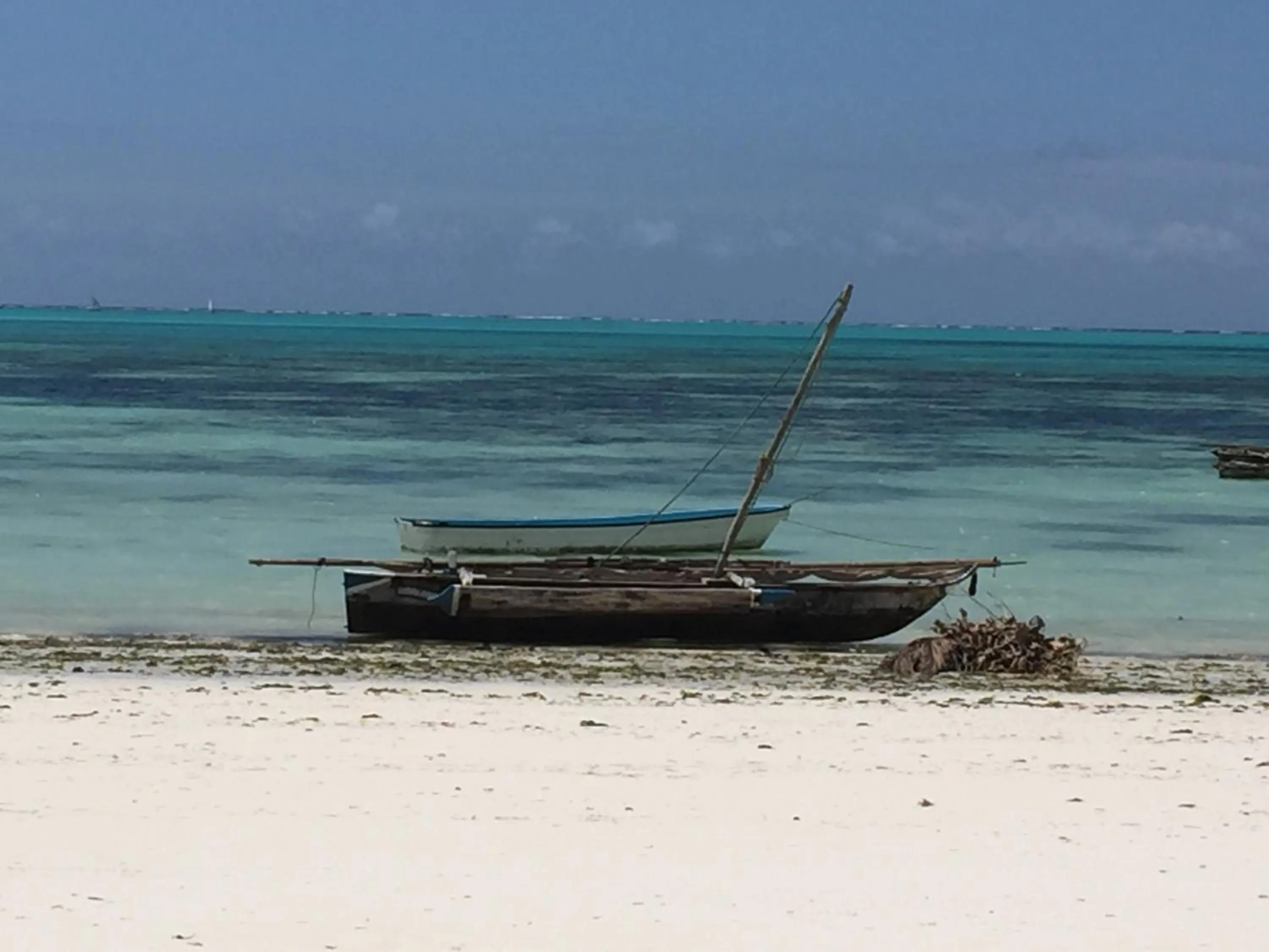 Beach in Bahari Beach Bungalows