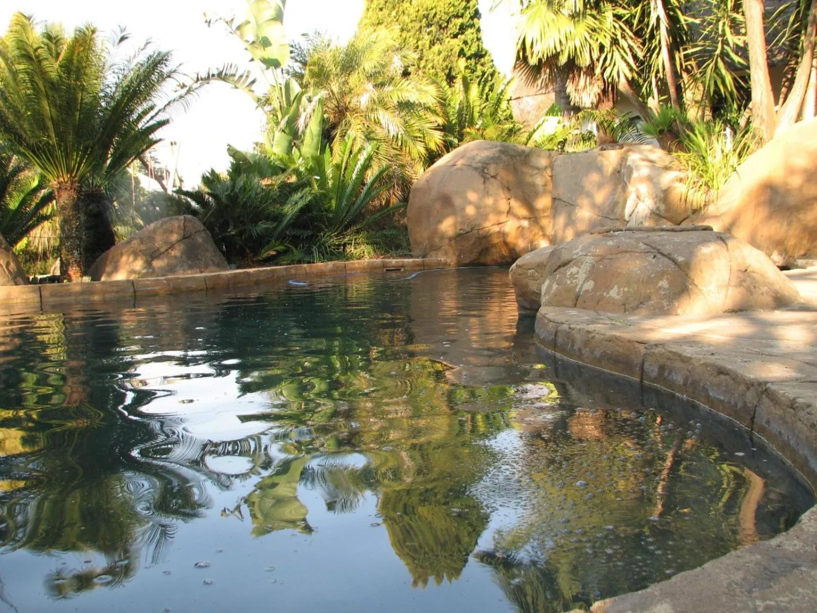Swimming pool in Acacia House Executive Suite