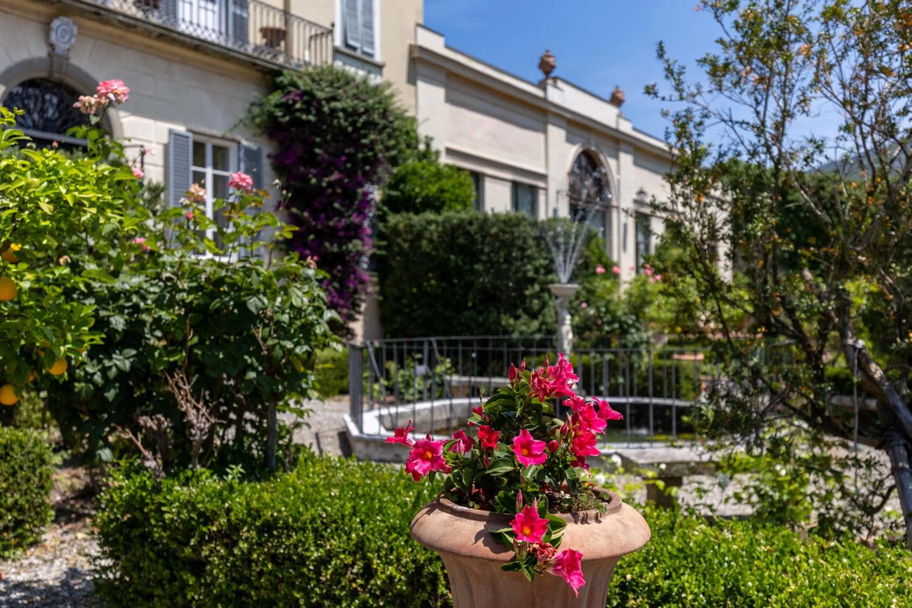 Garden view in Villa Scorzi - Relais de Charme