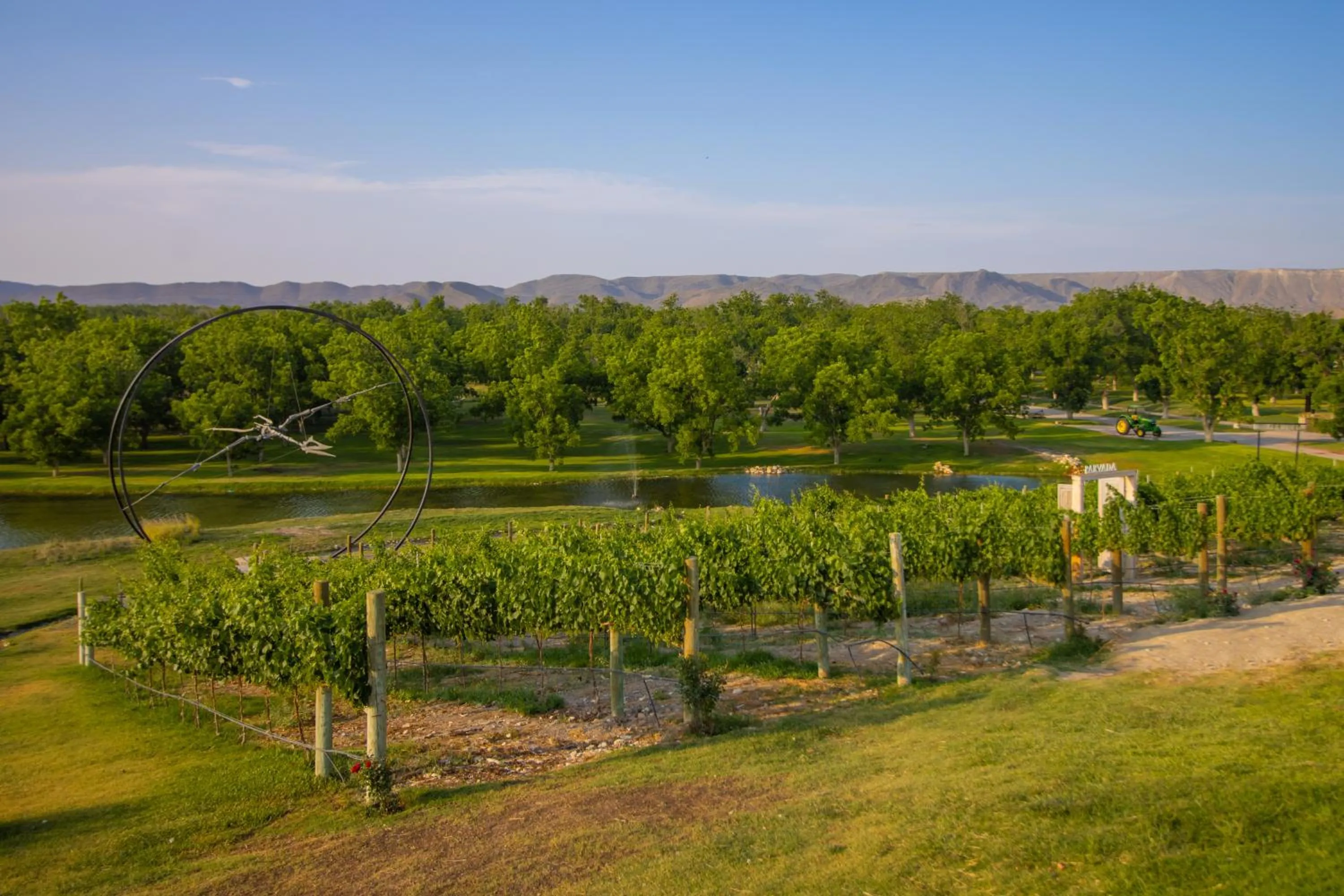 Garden in Hotel Vinícola Parvada by Lumina