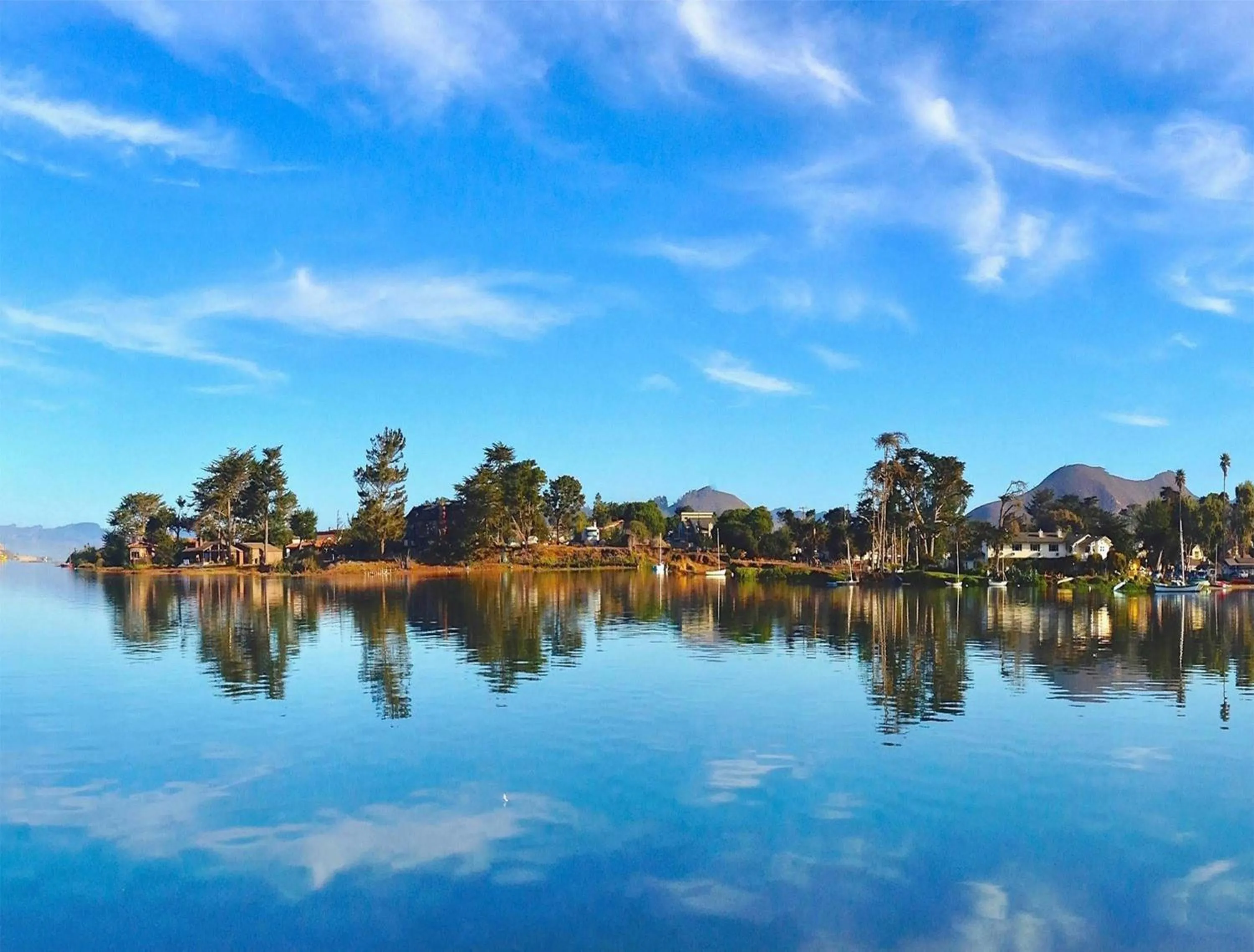Natural landscape in Back Bay Inn