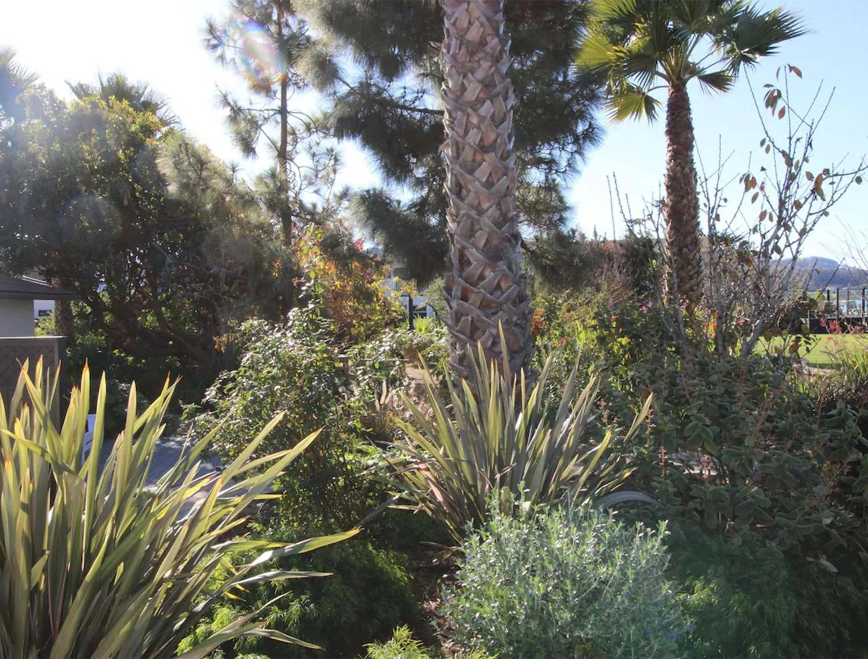 Garden in Back Bay Inn