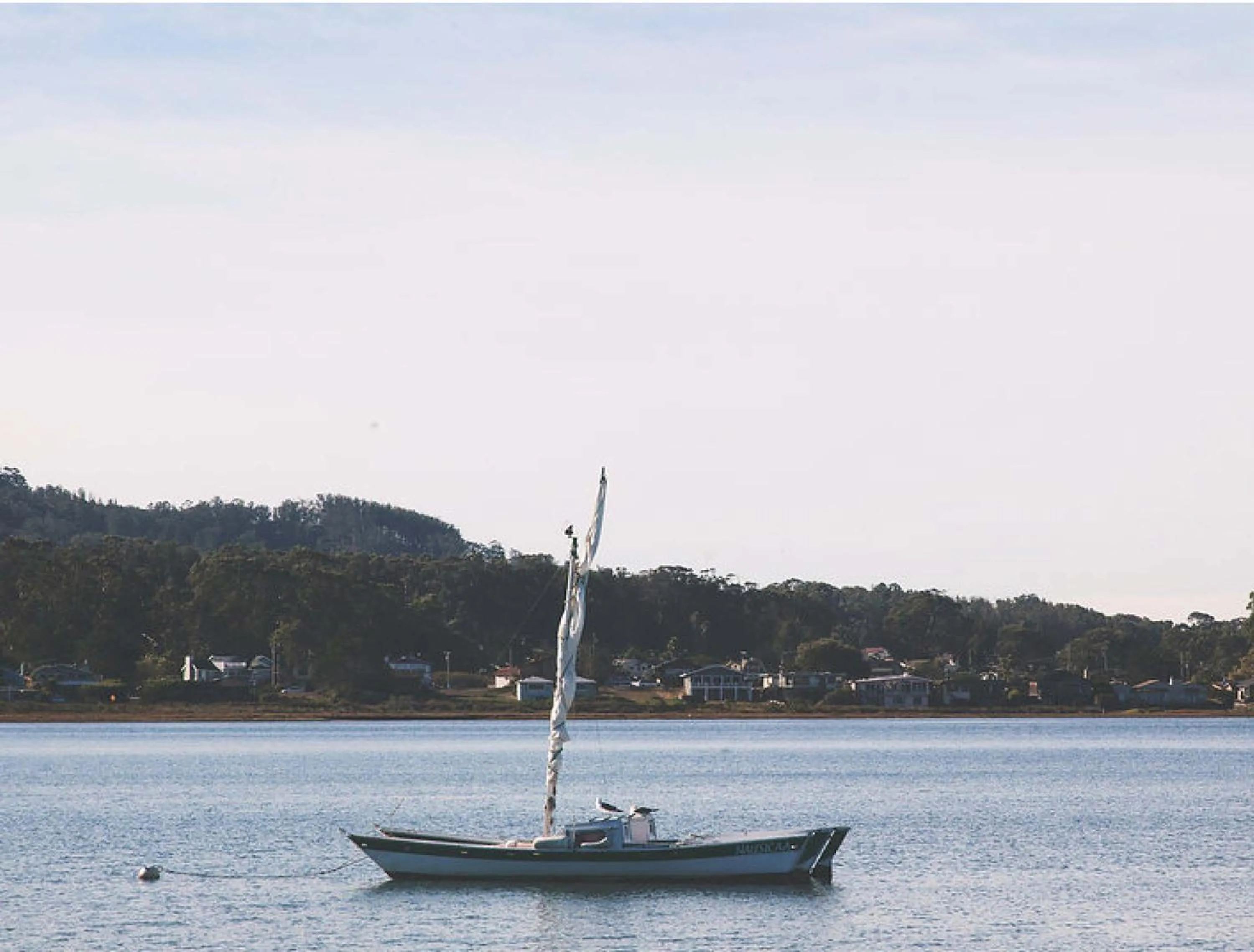 Sea view in Back Bay Inn