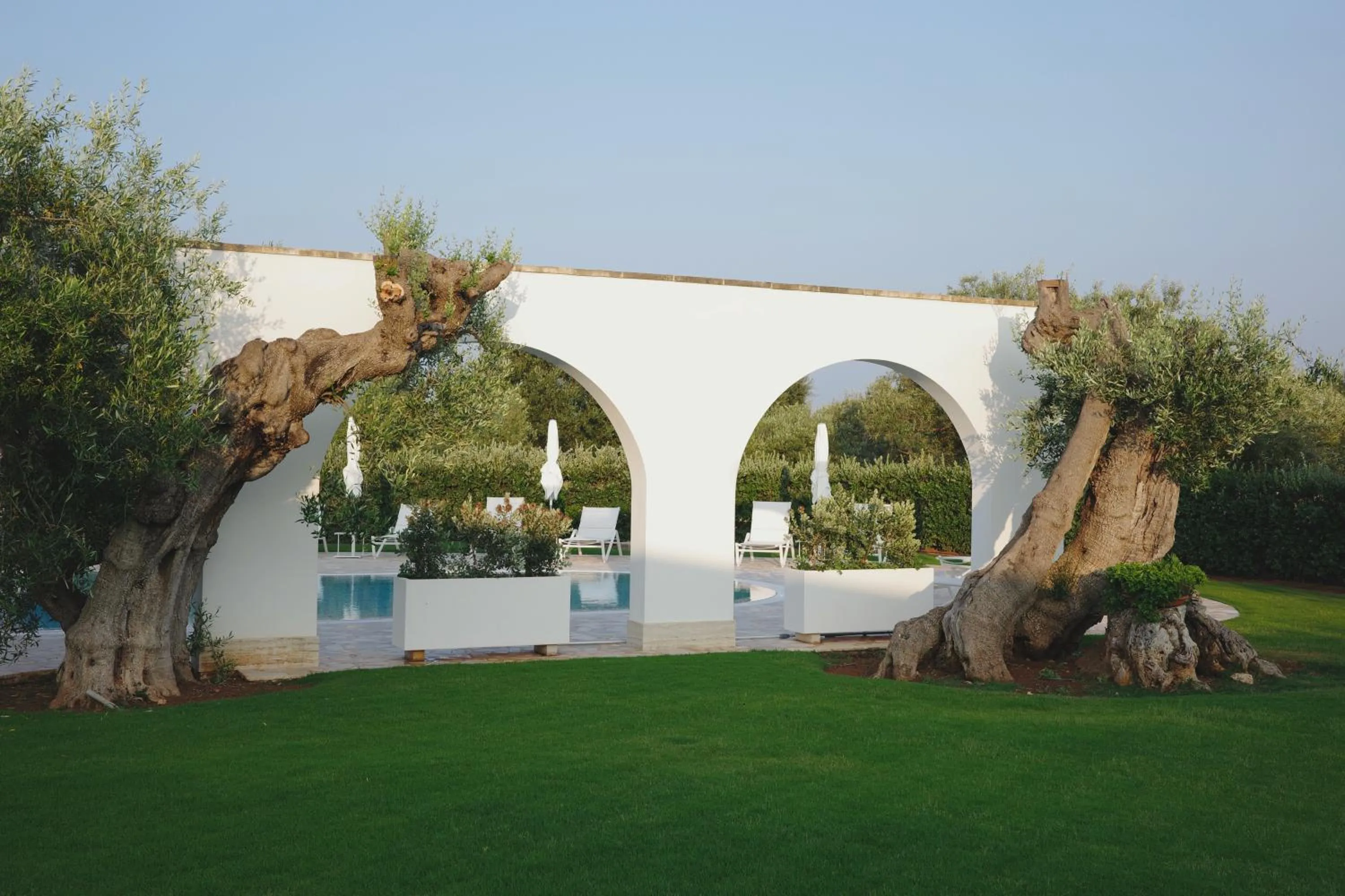 Swimming pool in L'Ulivo Bed and Breakfast